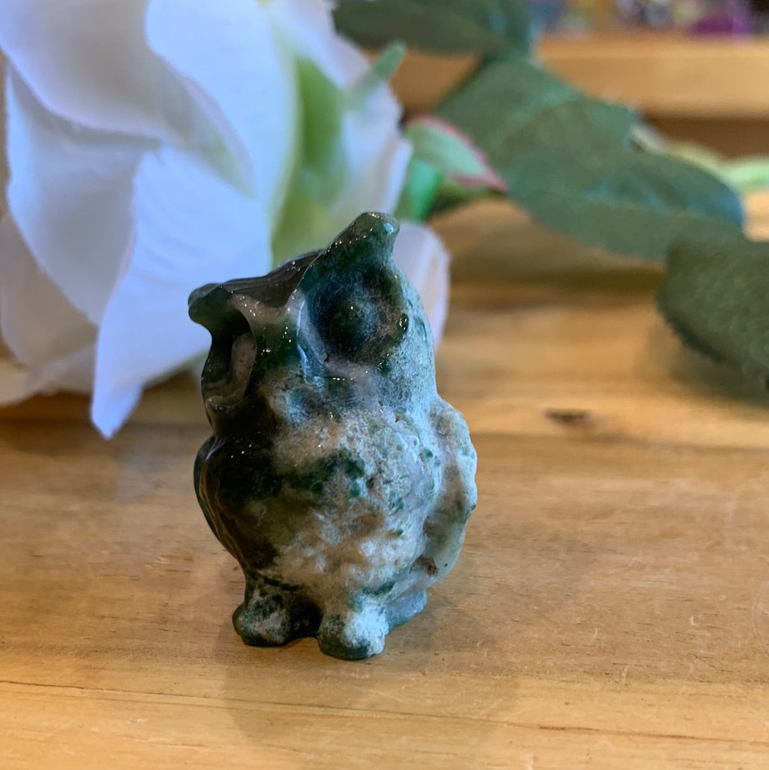 OWLS (SMALL)