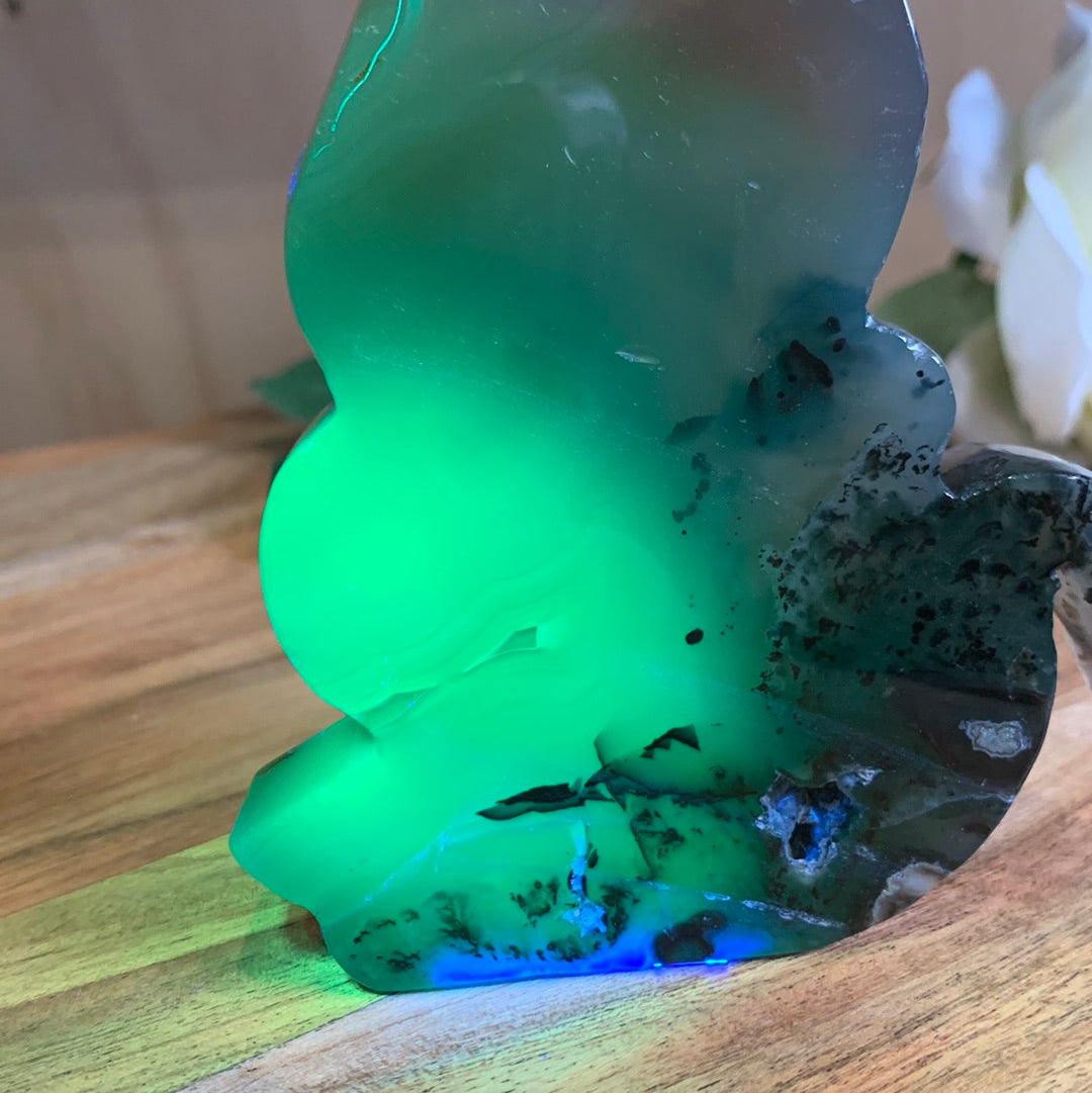 VOLCANO AGATE CATS (LARGE)