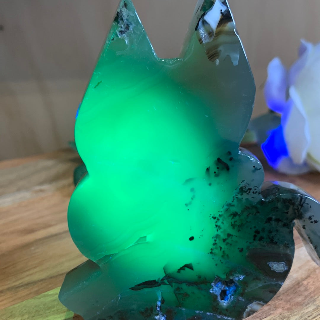 VOLCANO AGATE CATS (LARGE)