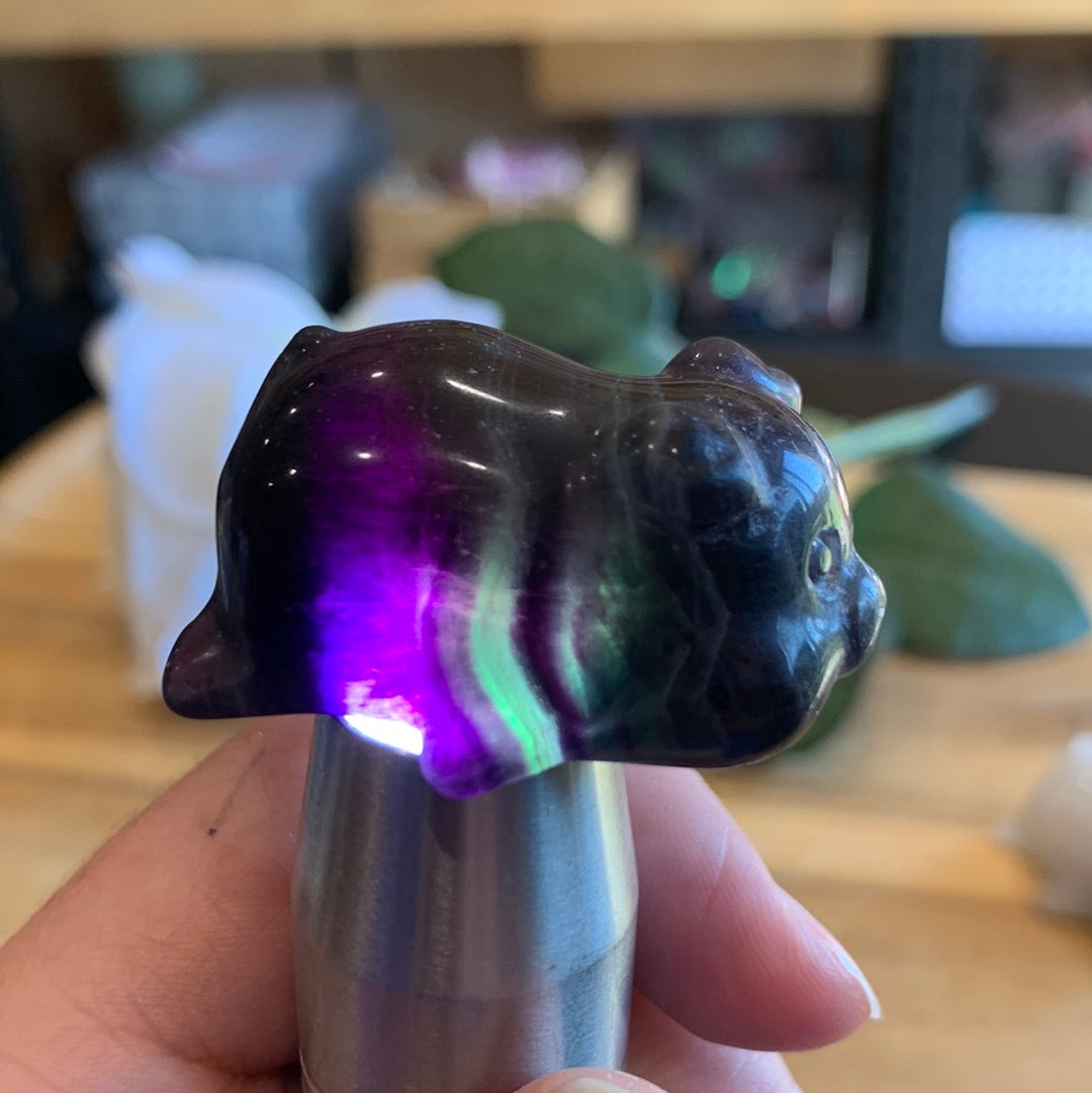 CRYSTAL PIGS