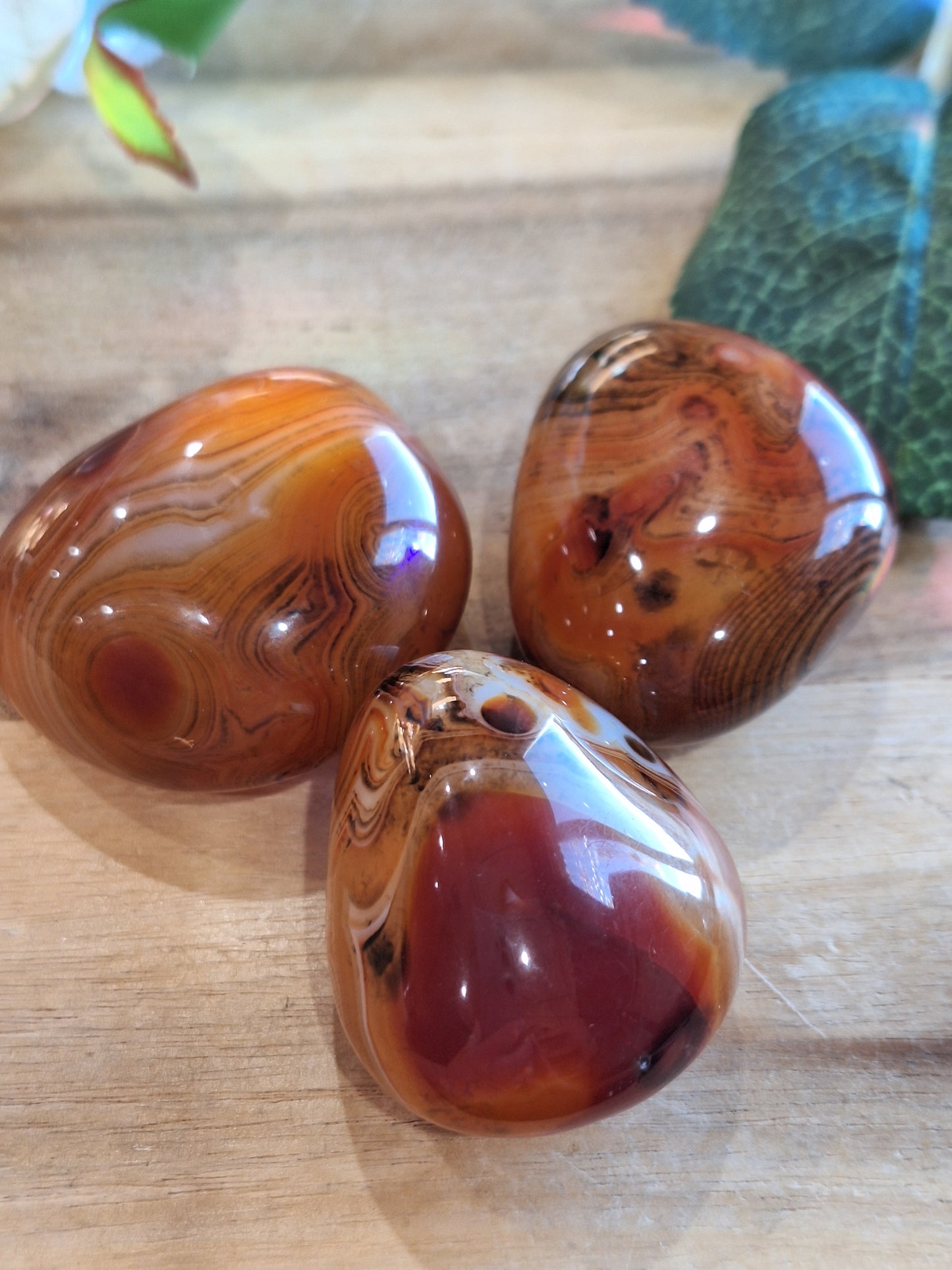SARDONYX PALMS