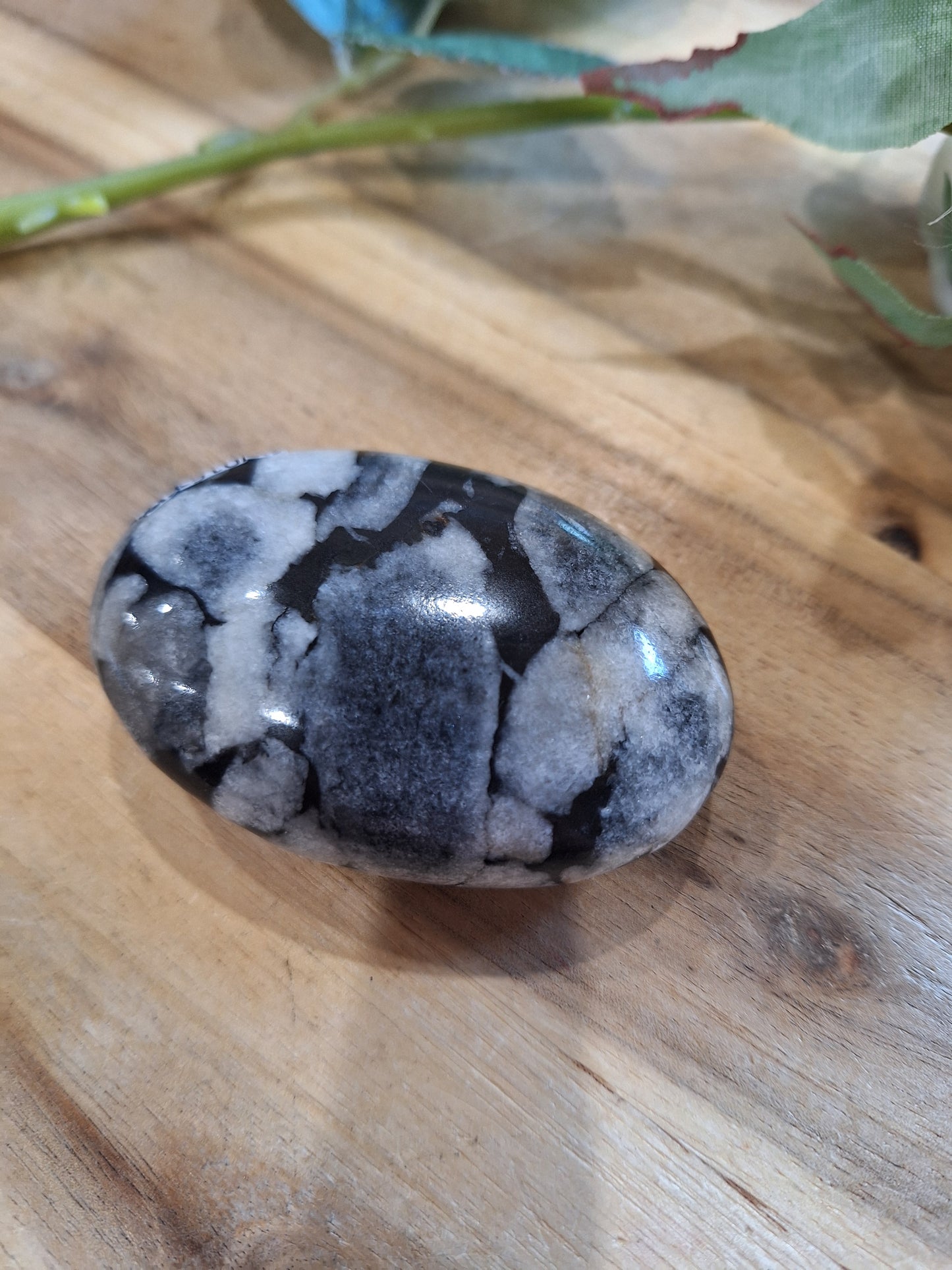 PALM STONES (MEDIUM & LARGE)