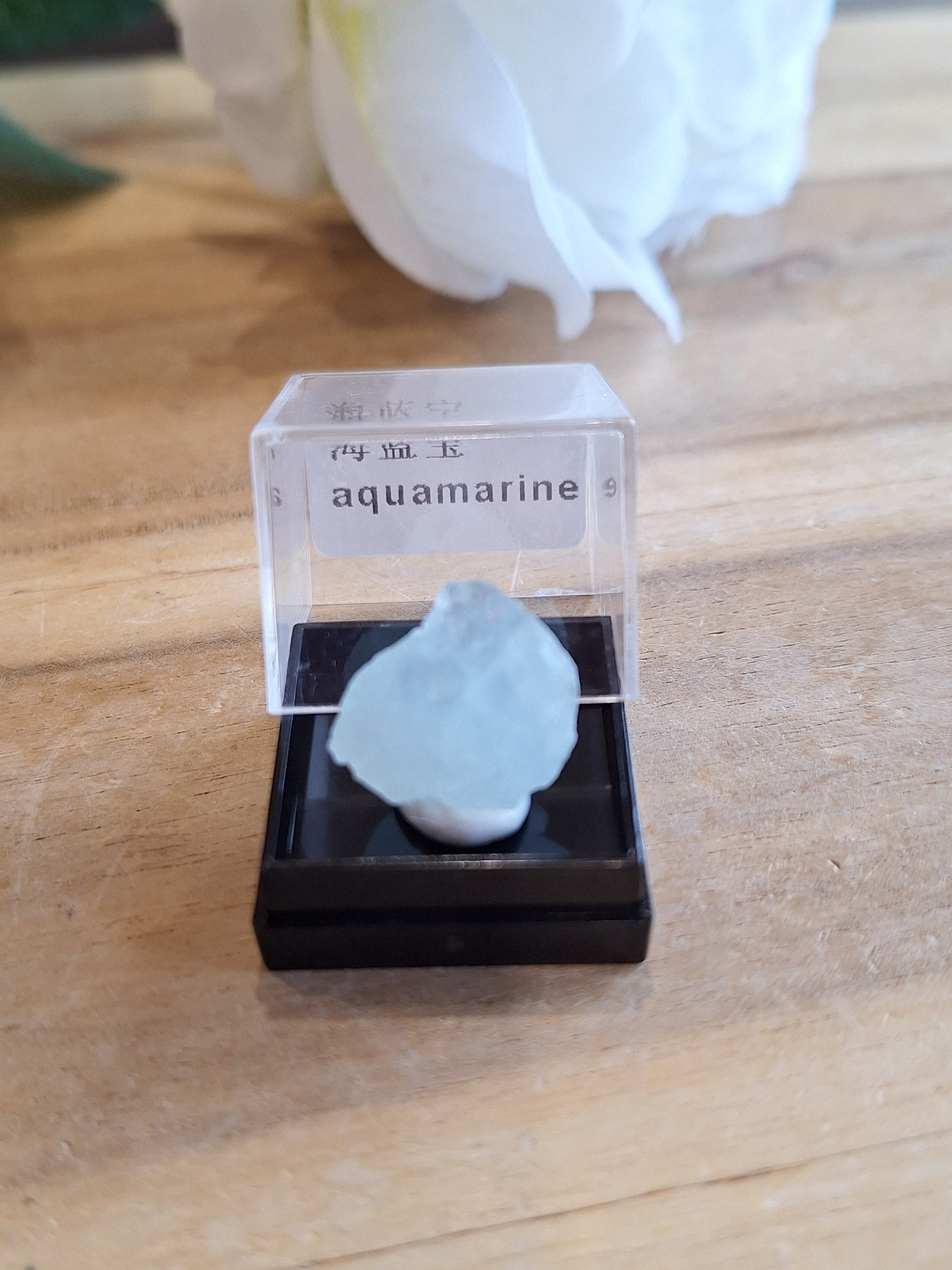 DISPLAY BOX SPECIMENS (SMALL)