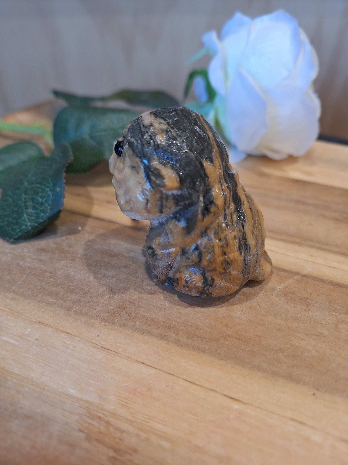 TIGER SKIN JASPER CAT