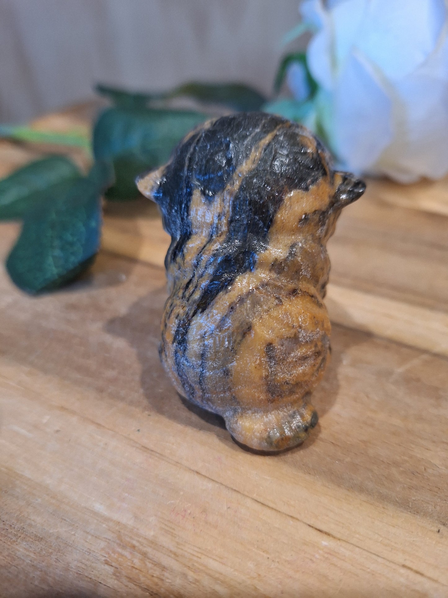 TIGER SKIN JASPER CAT