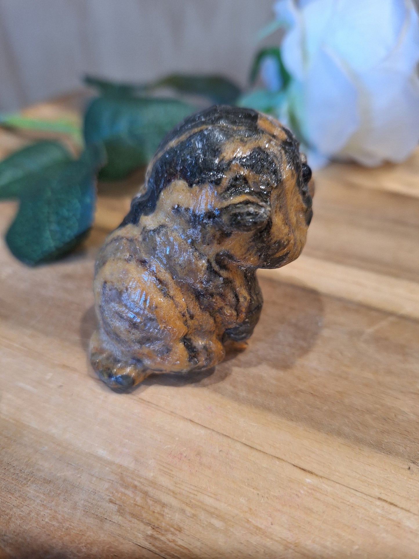 TIGER SKIN JASPER CAT