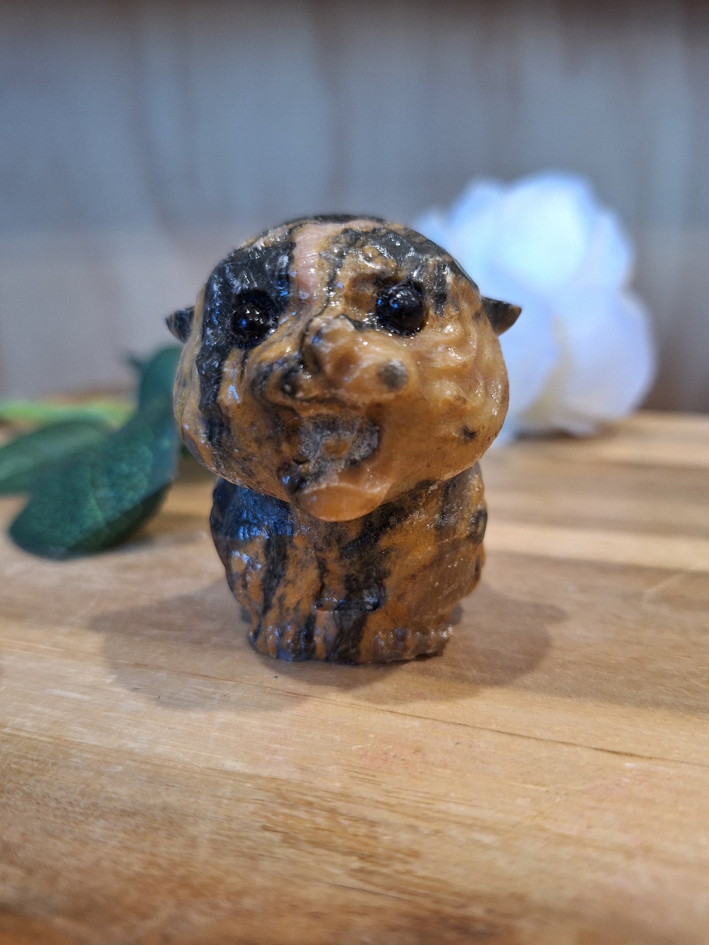 TIGER SKIN JASPER CAT