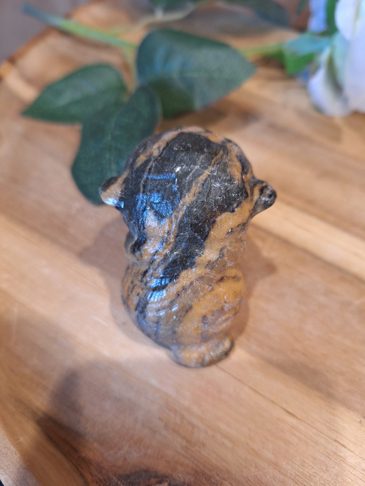 TIGER SKIN JASPER CAT