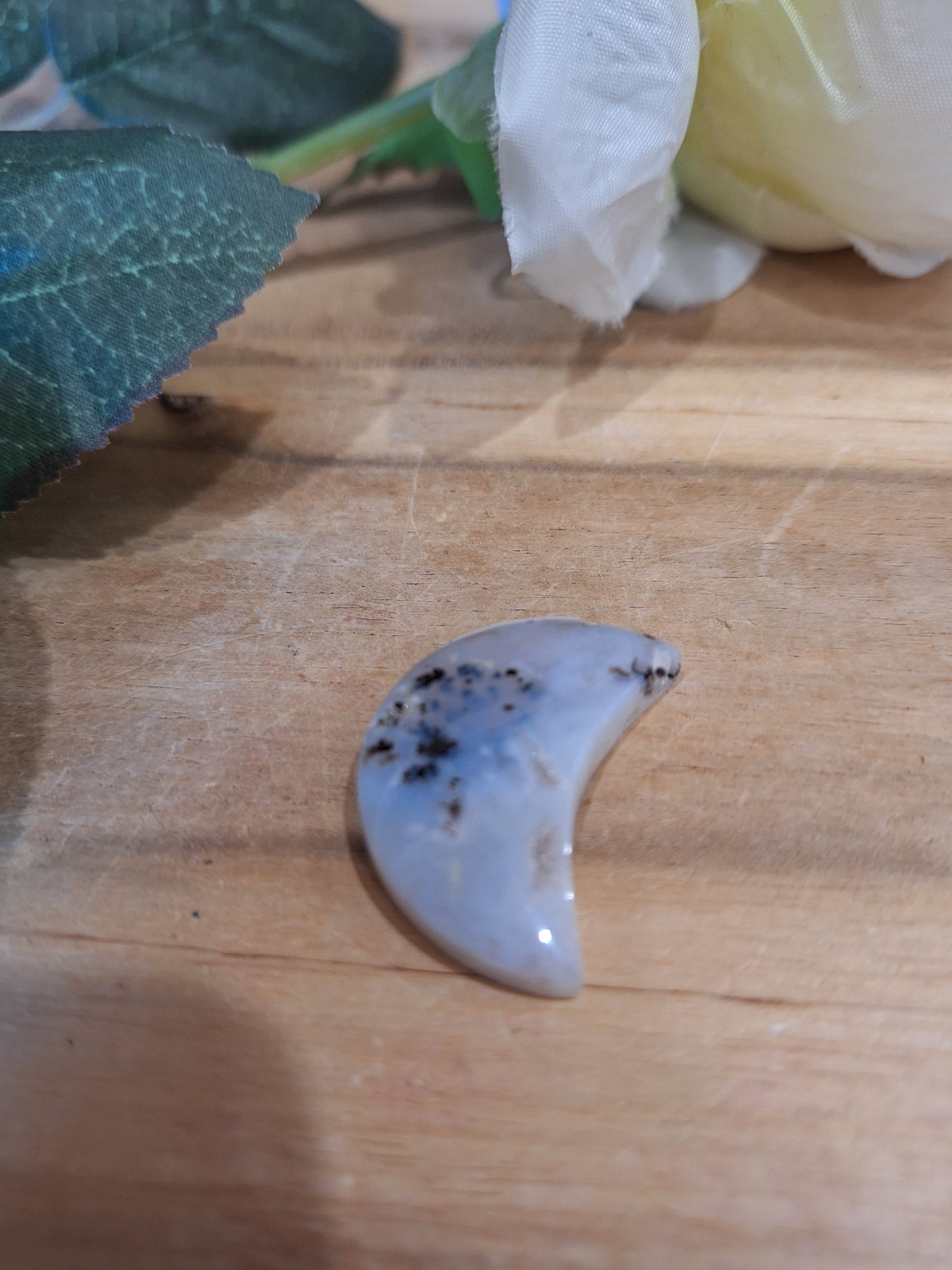 DENDRETIC AGATE MOONS