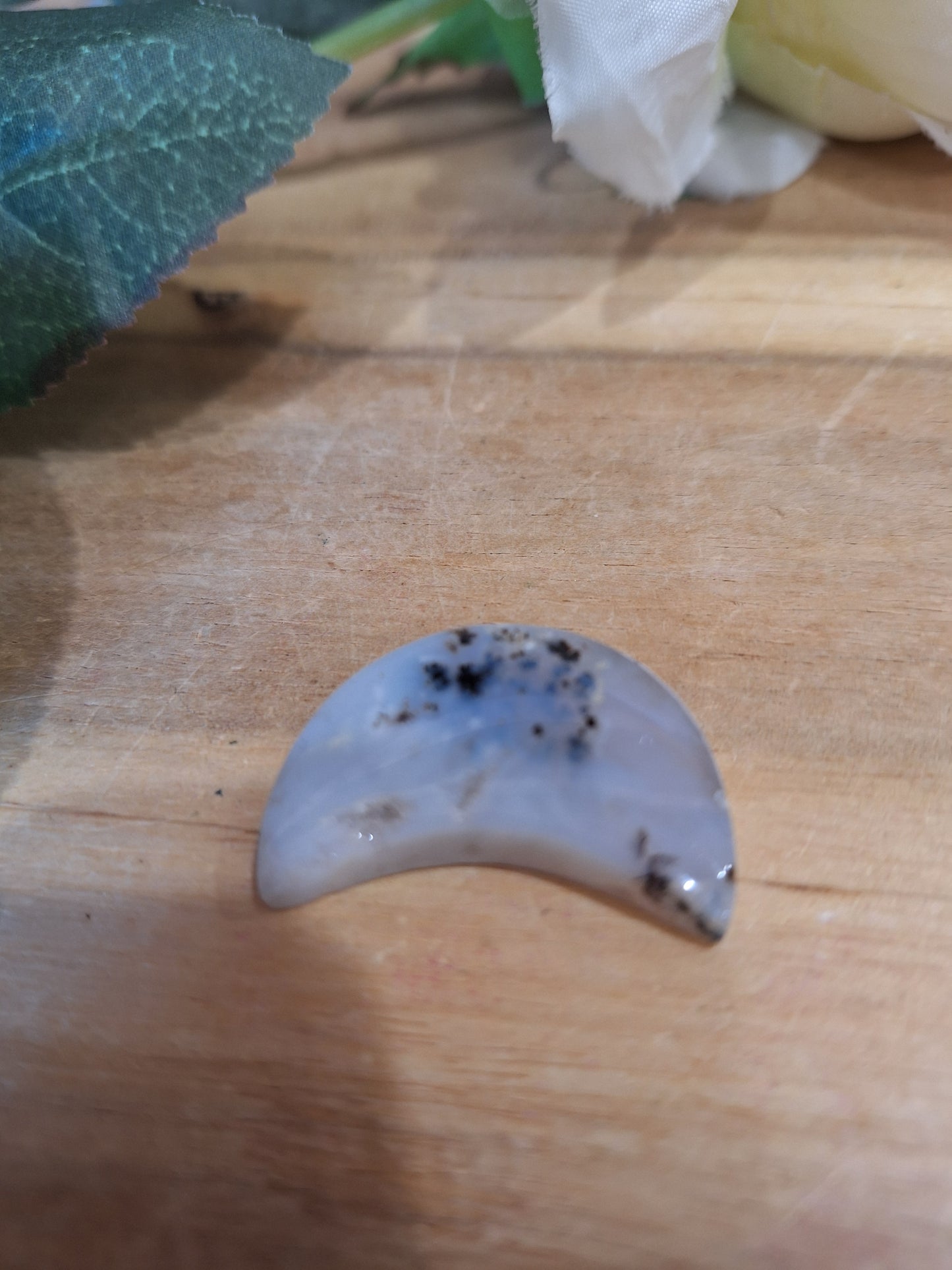 DENDRETIC AGATE MOONS