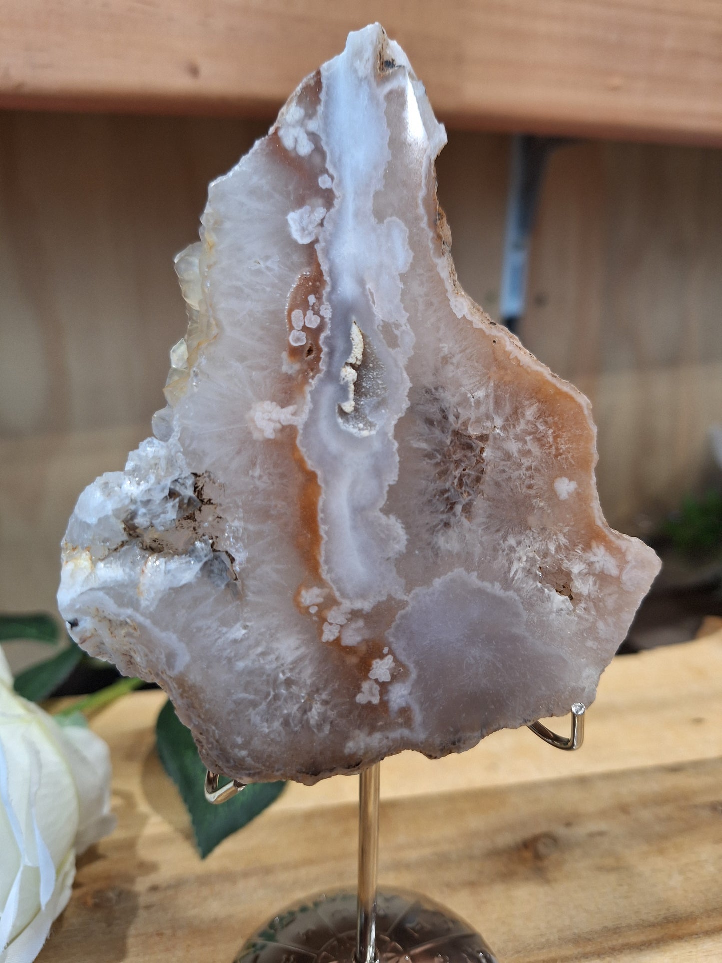 FLOWER AGATE SLABS