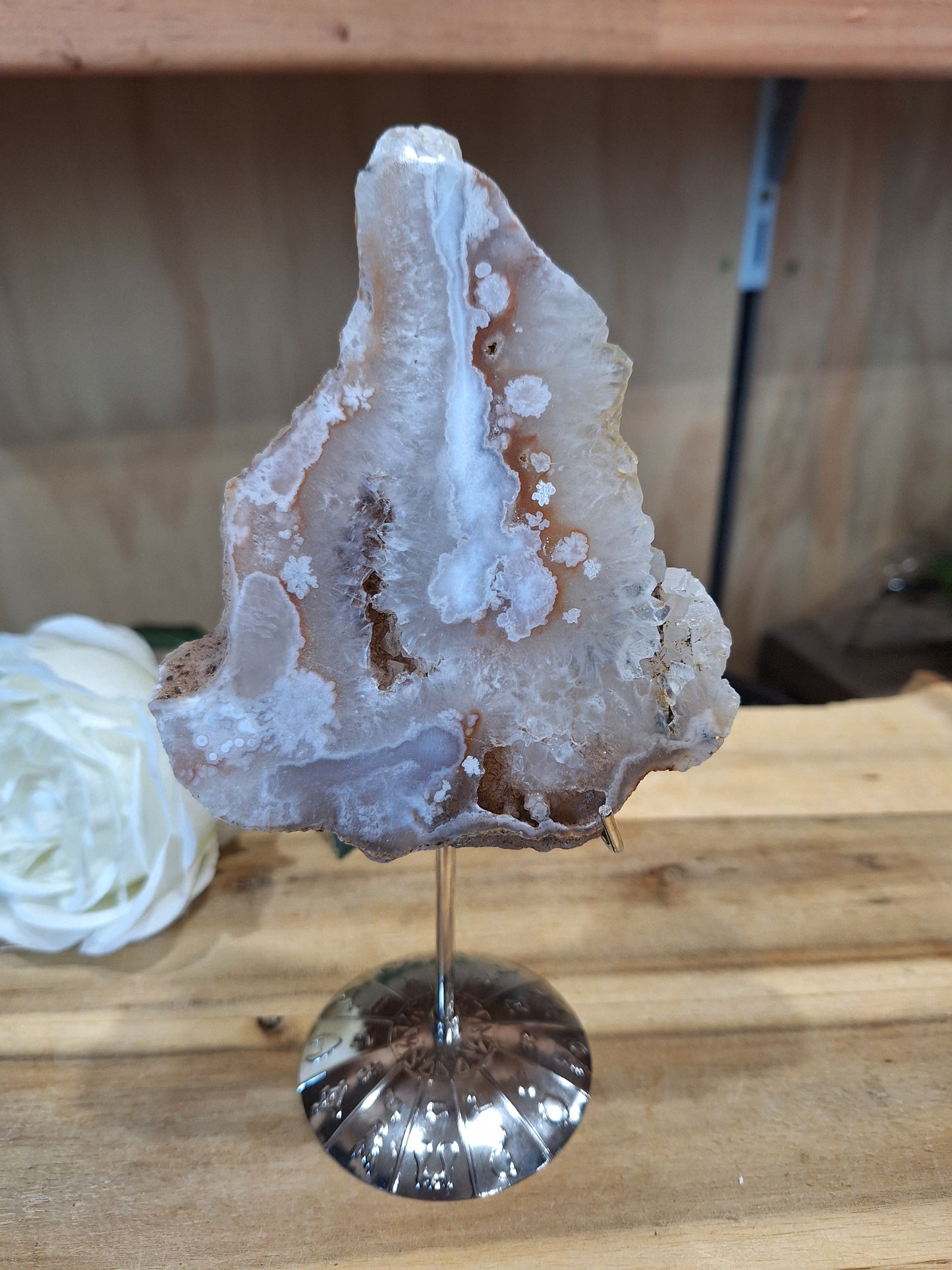FLOWER AGATE SLABS