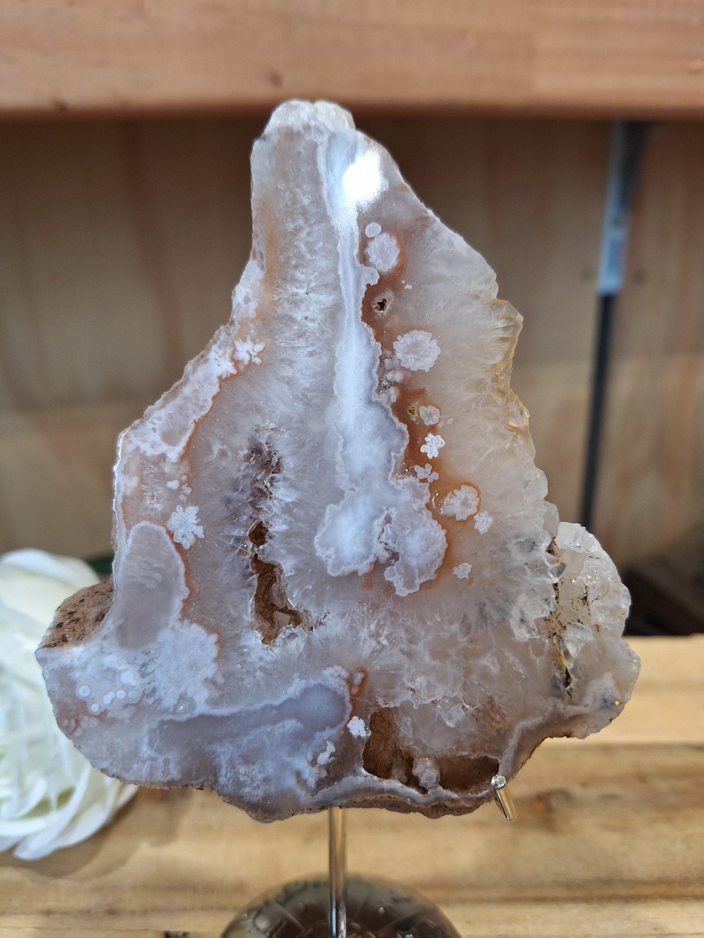 FLOWER AGATE SLABS