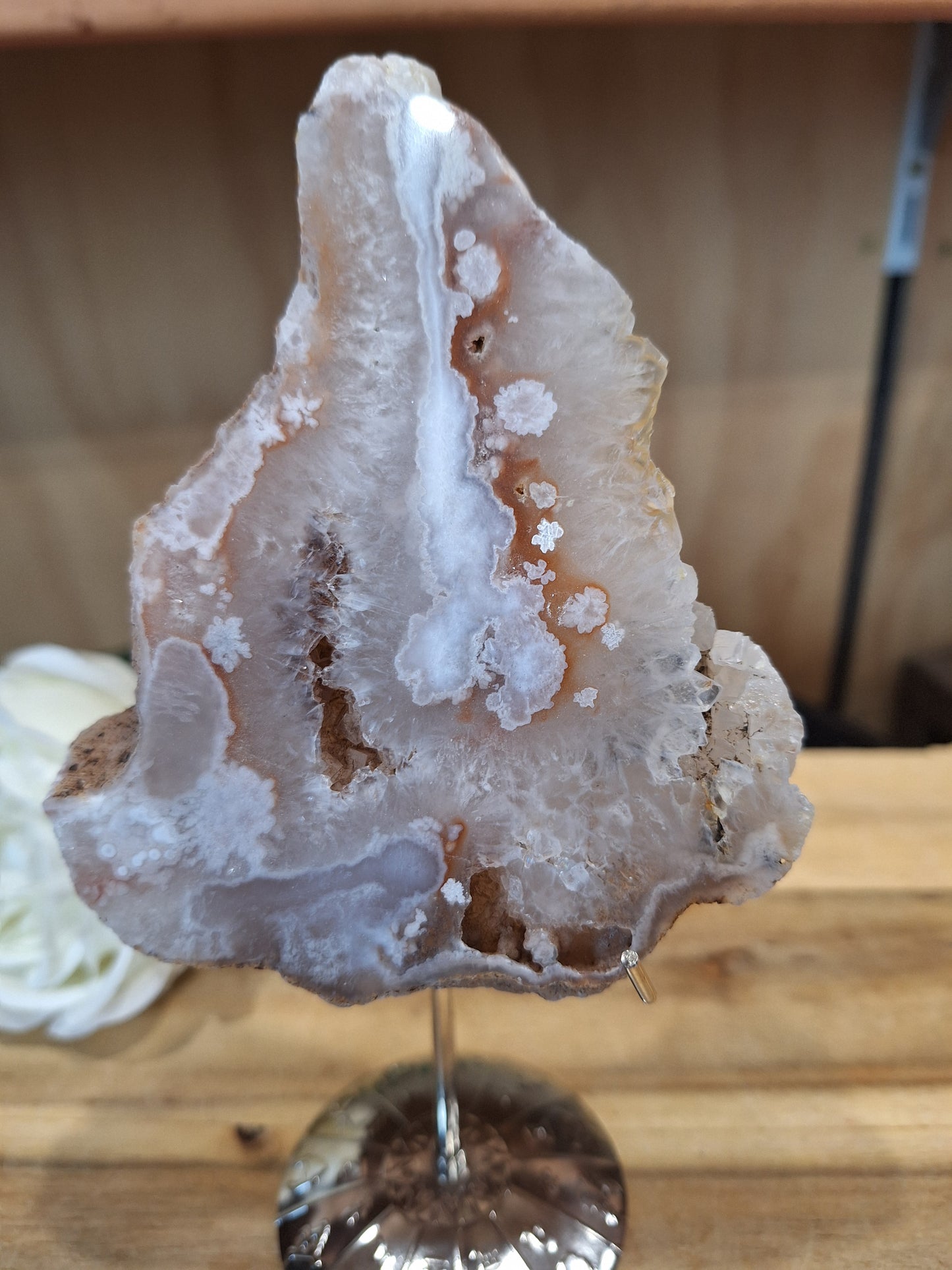 FLOWER AGATE SLABS