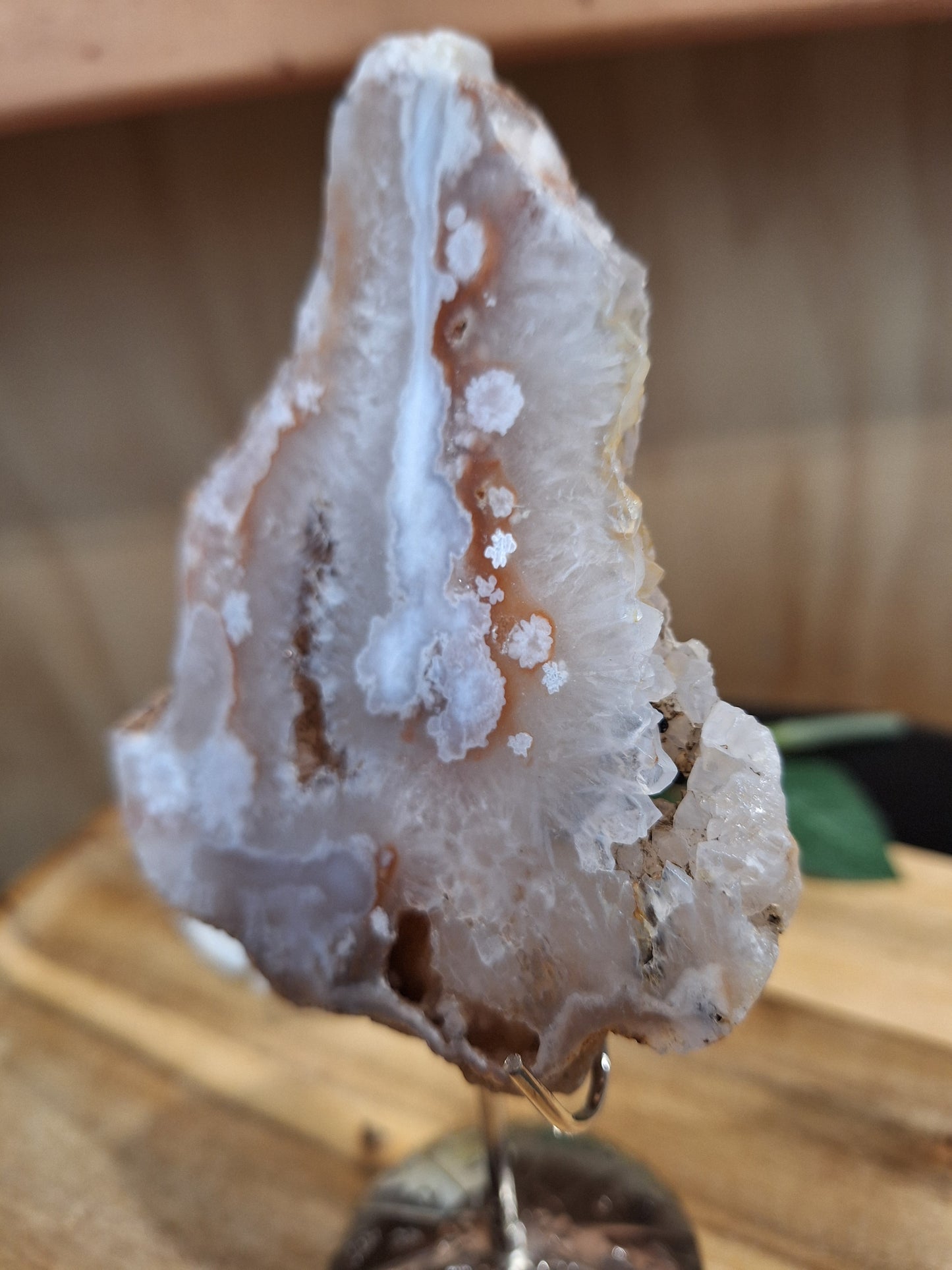 FLOWER AGATE SLABS