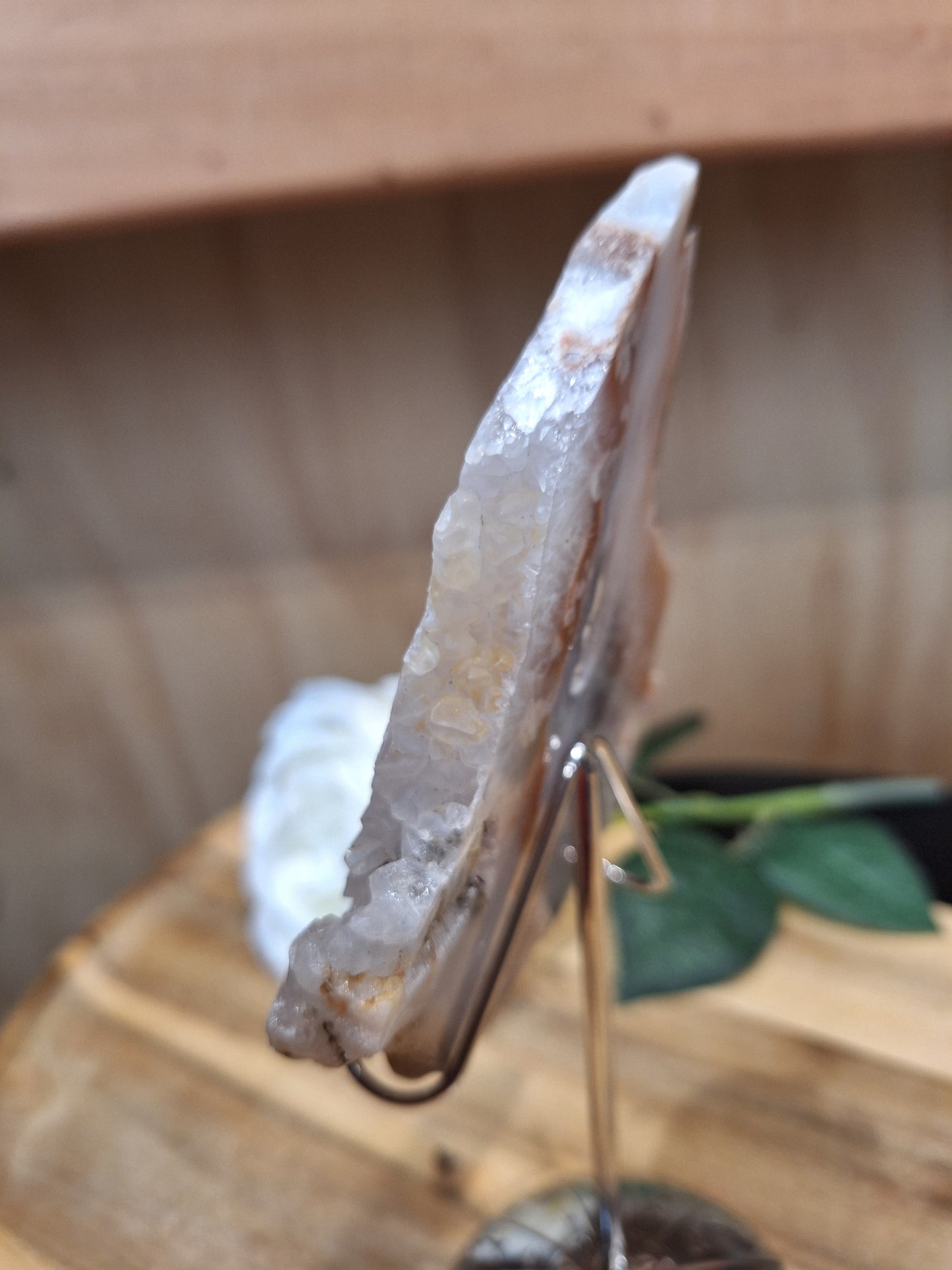 FLOWER AGATE SLABS