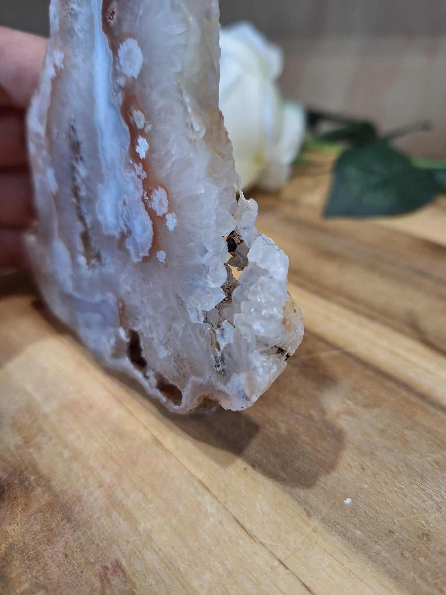 FLOWER AGATE SLABS