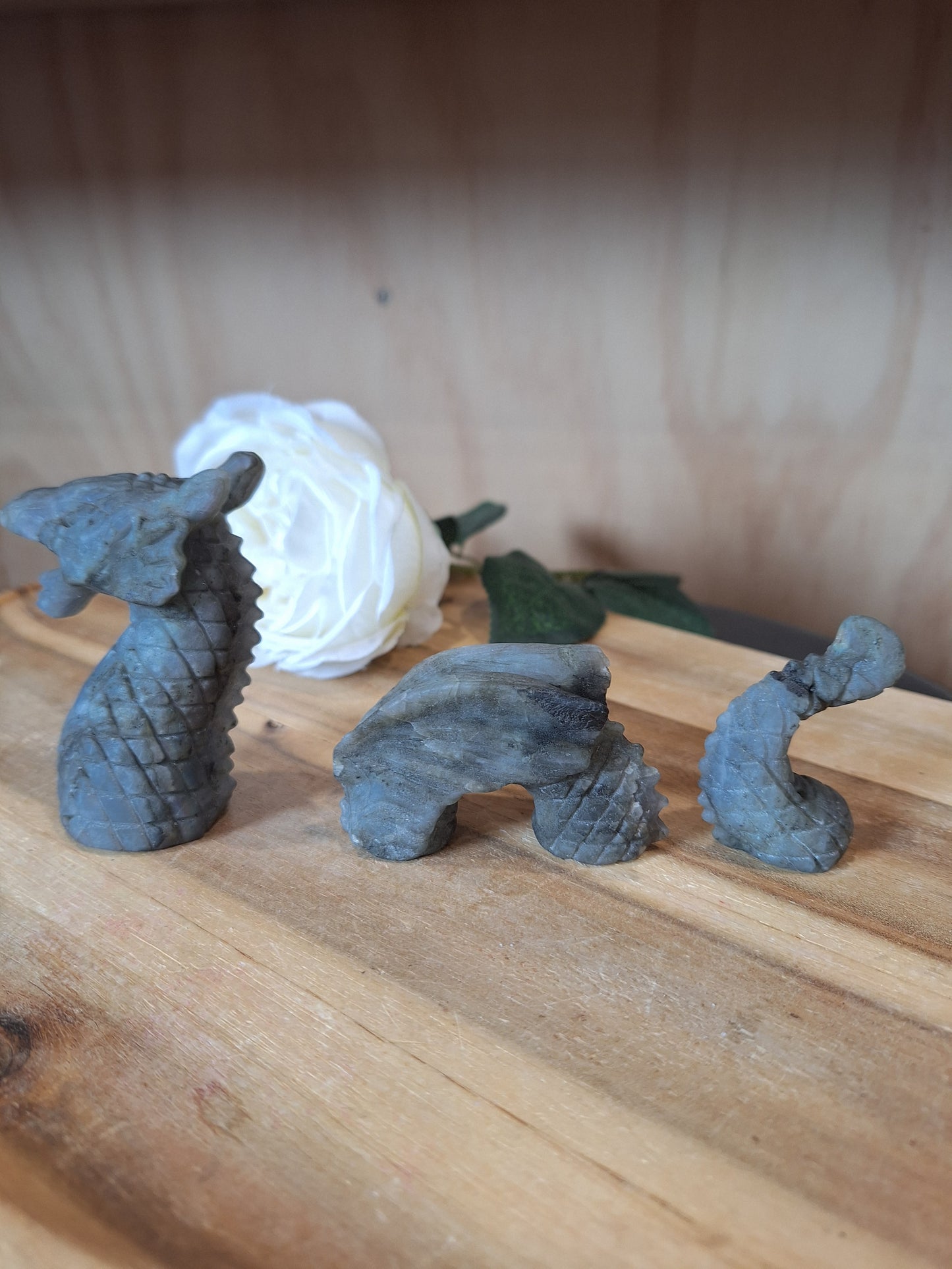 LABRADORITE DRAGON (3 PART DRAGON)