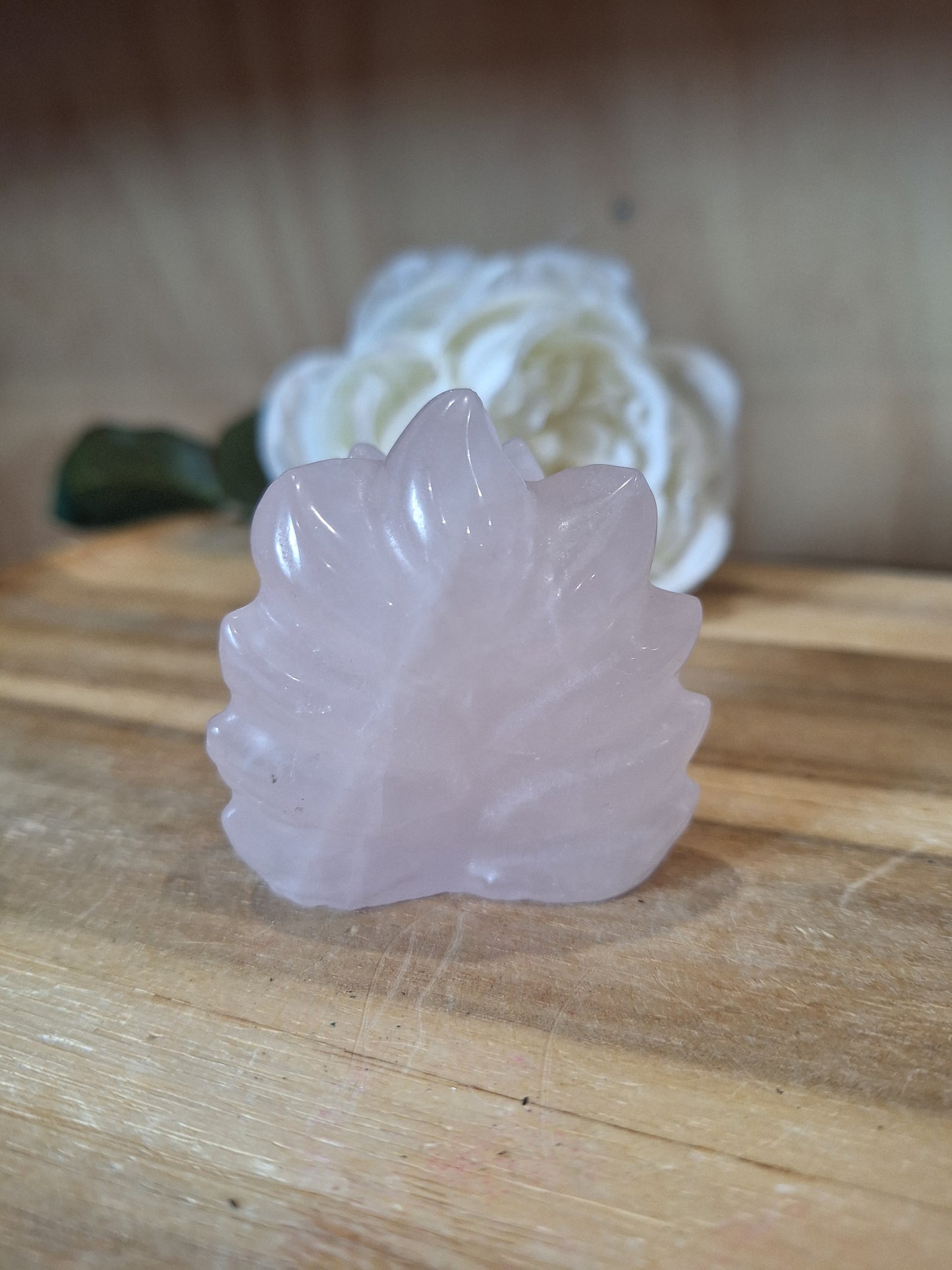 ROSE QUARTZ 9 TAIL FOX