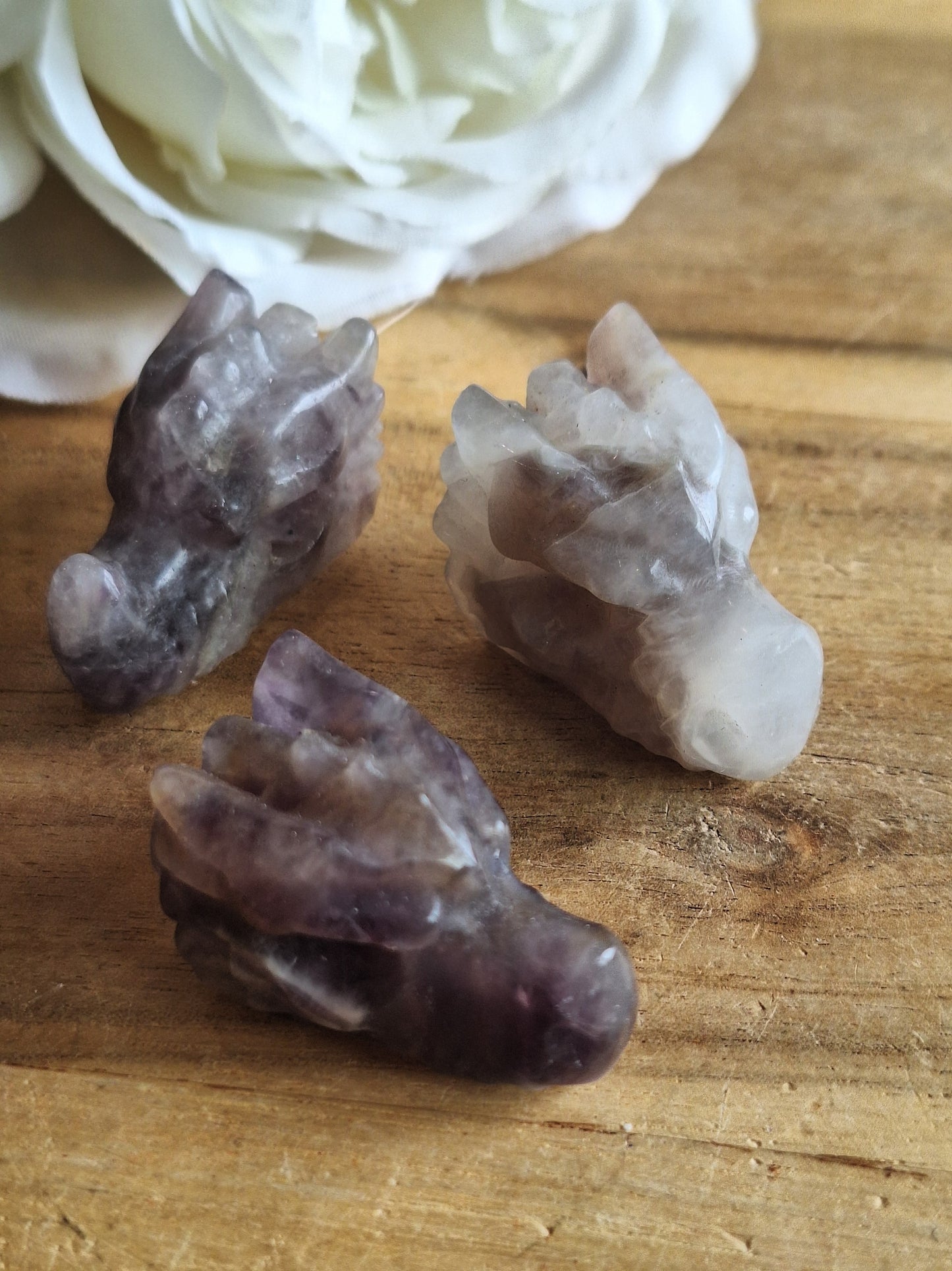 DRAGONHEADS (EXTRA SMALL)