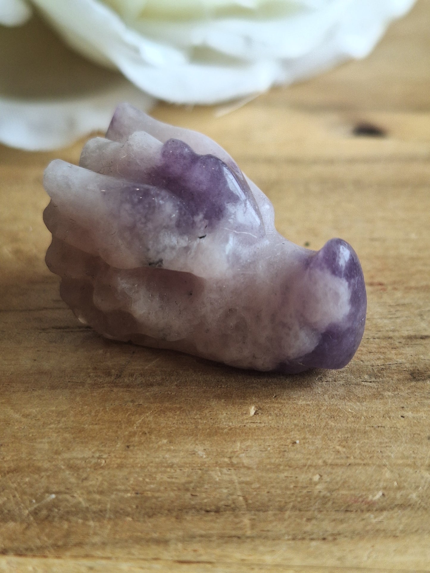 DRAGONHEADS (EXTRA SMALL)