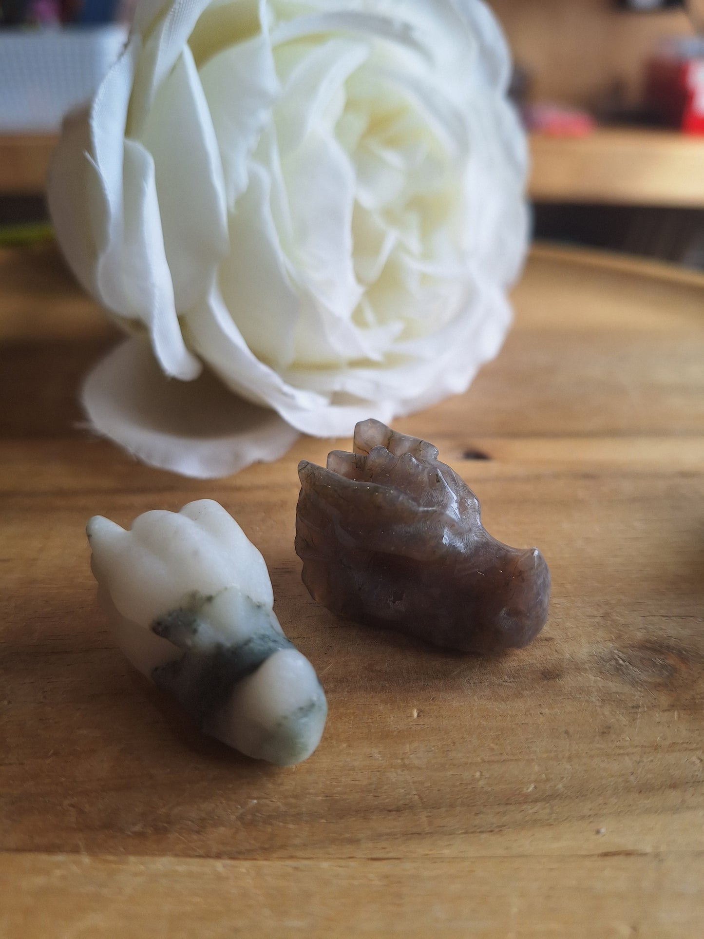 DRAGONHEADS (EXTRA SMALL)