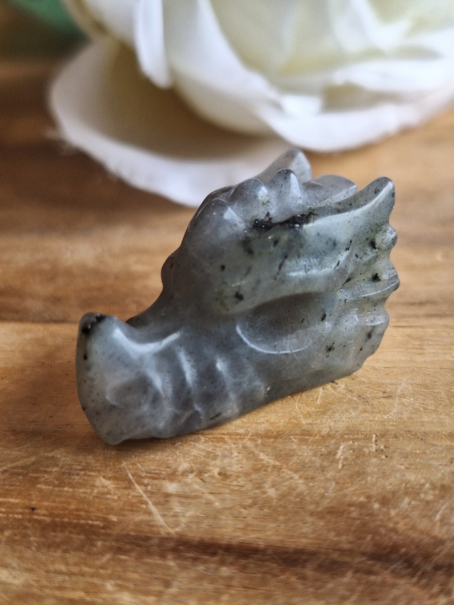 DRAGONHEADS (EXTRA SMALL)