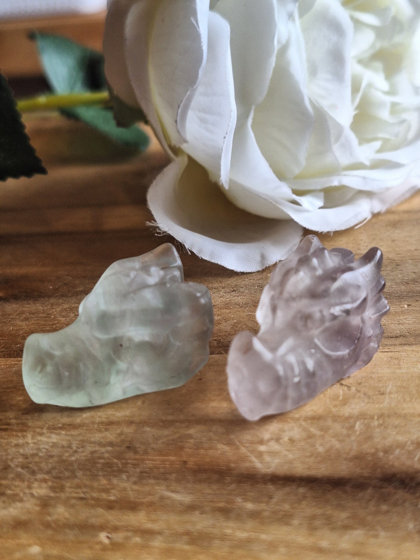 DRAGONHEADS (EXTRA SMALL)