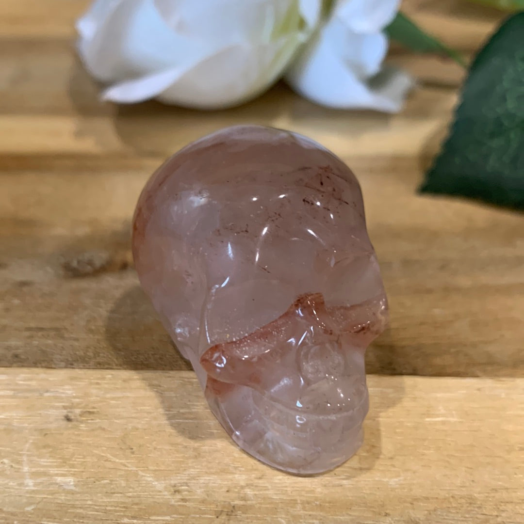 SKULL (MEDIUM)