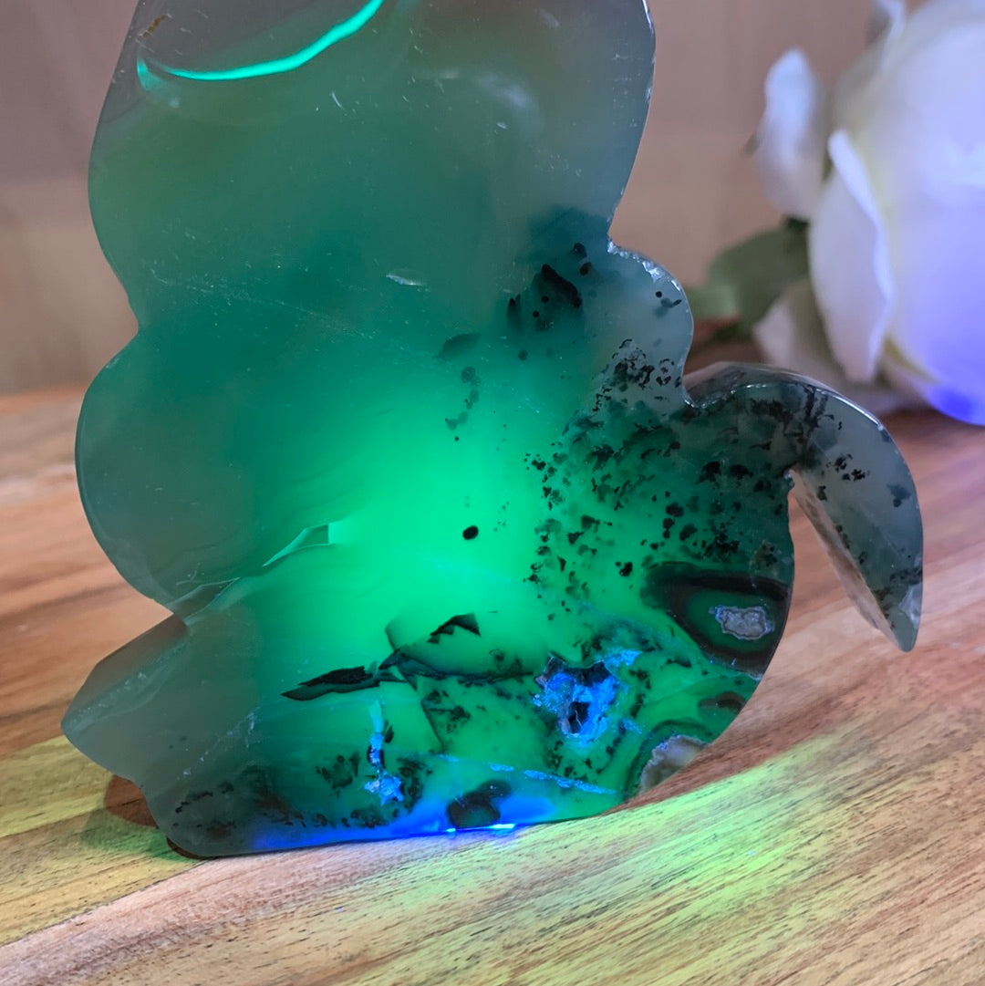 VOLCANO AGATE CATS (LARGE)