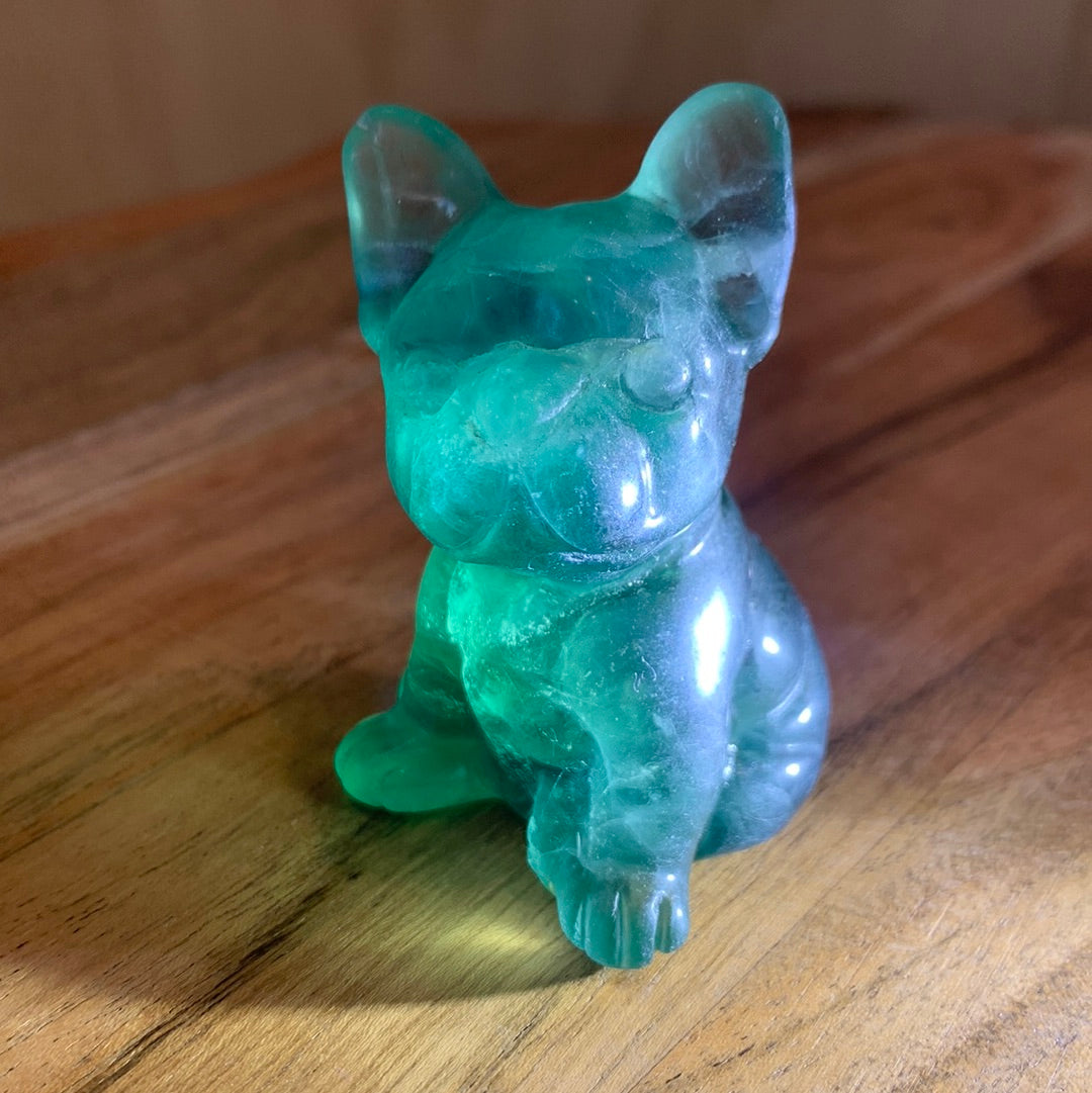FLUORITE FRENCH DOGS