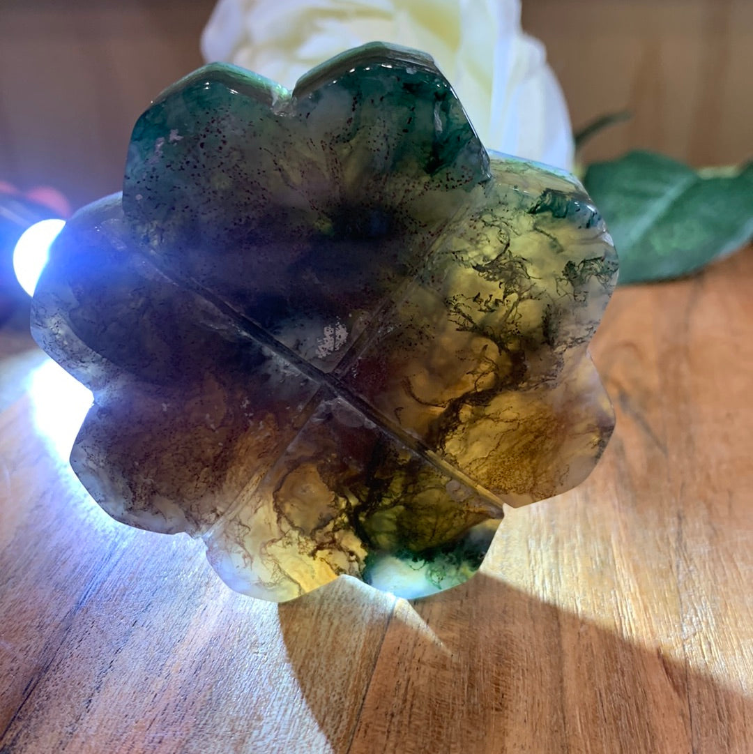 OCEAN JASPER FLOWER ON ASTROLOGY STAND