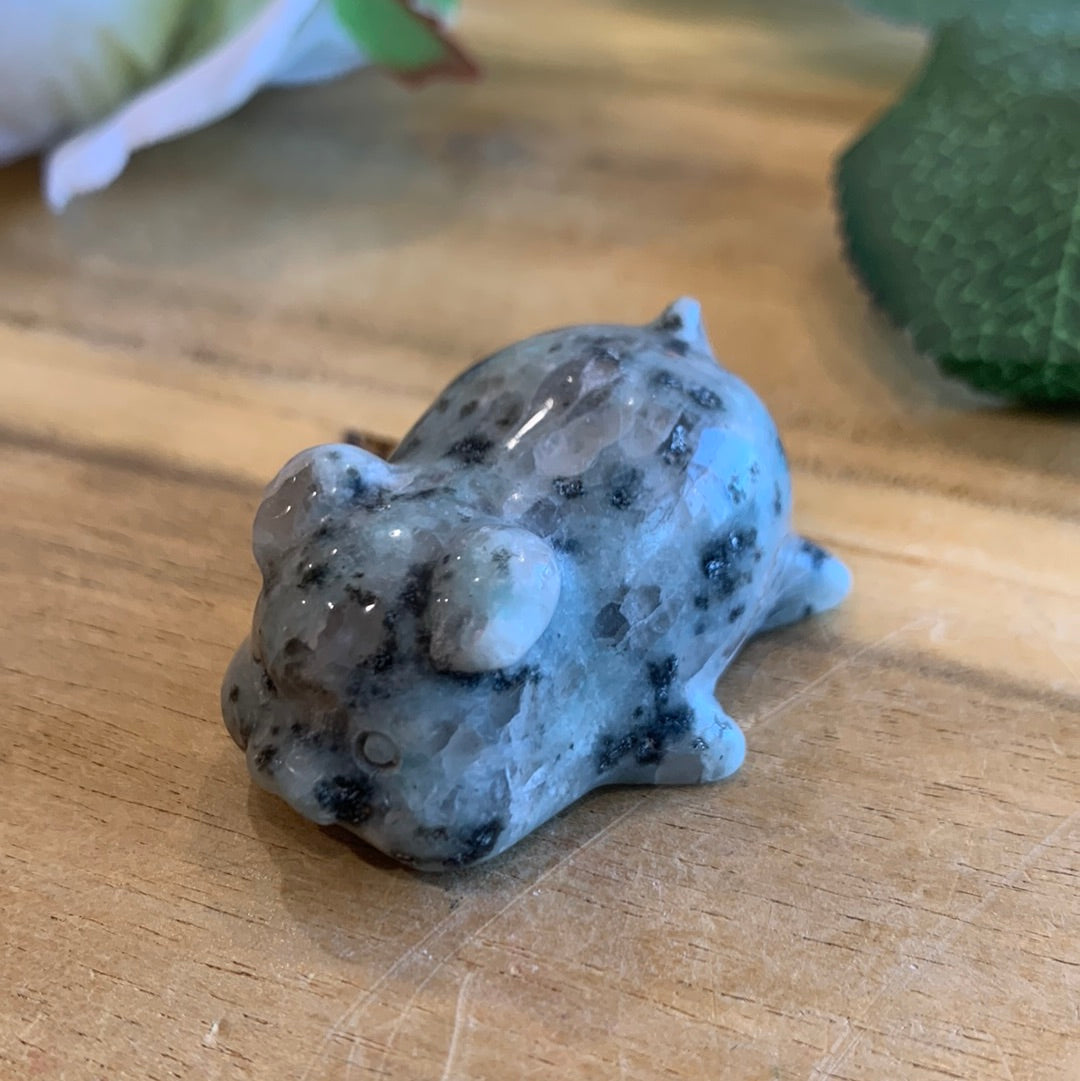 CRYSTAL PIGS