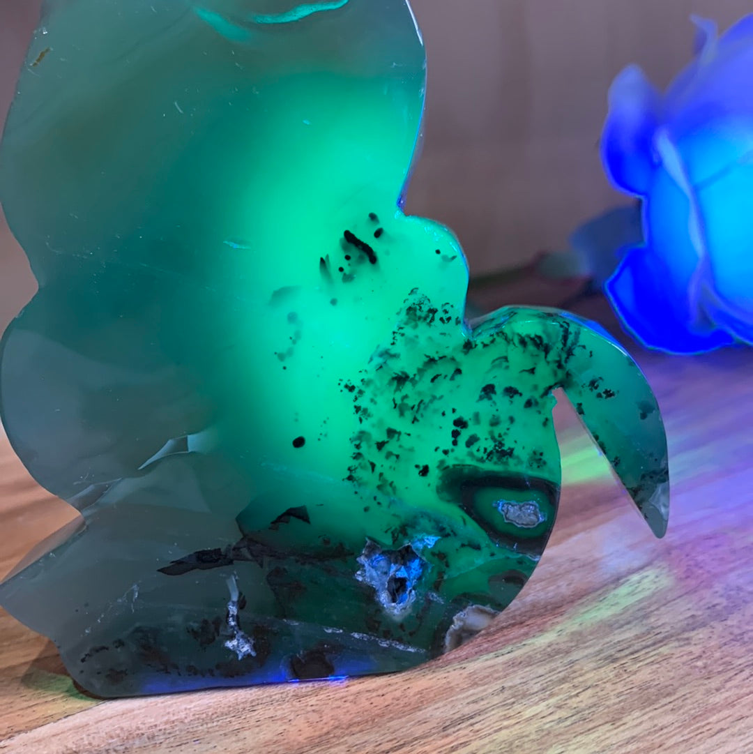 VOLCANO AGATE CATS (LARGE)