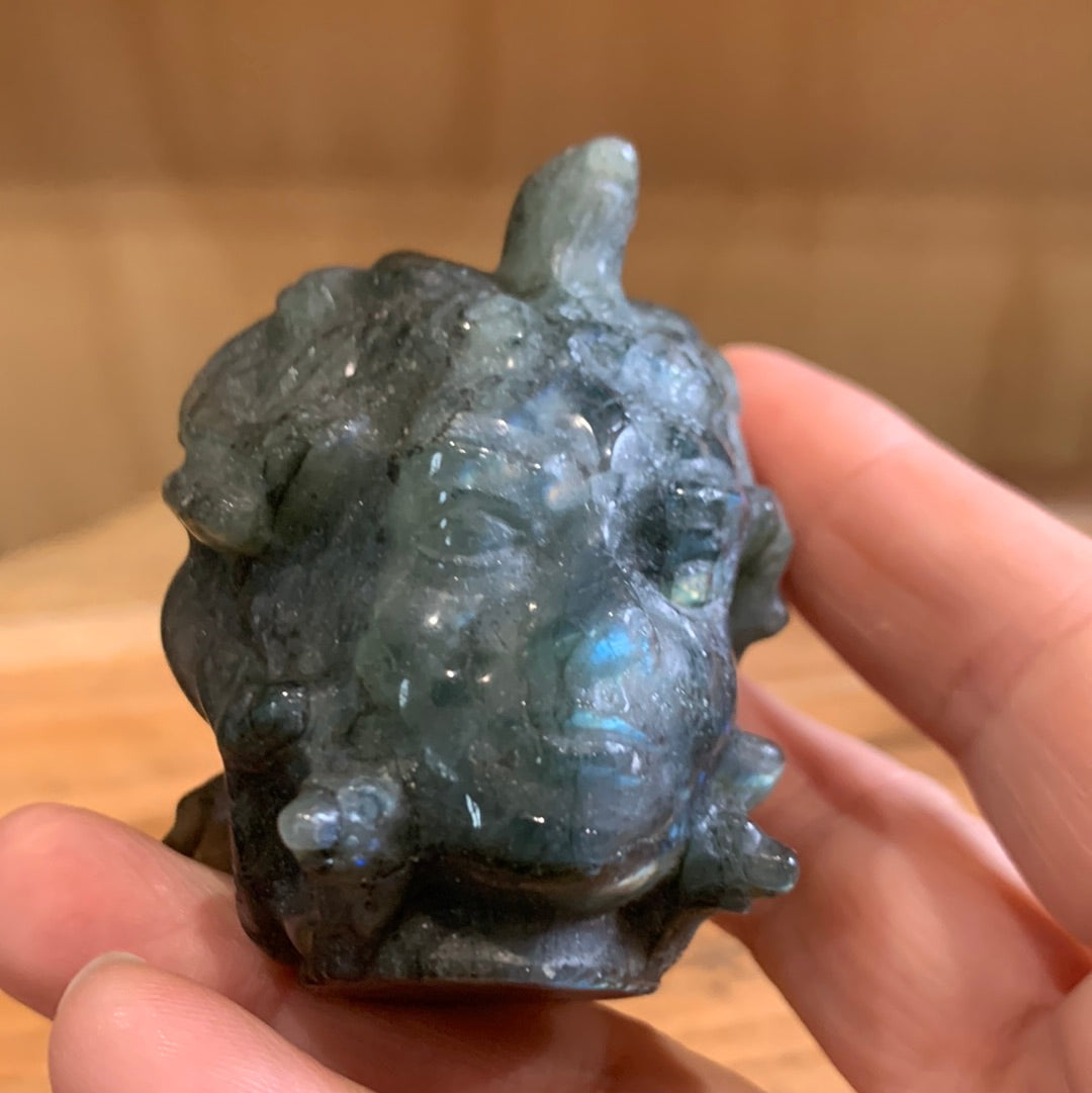 LABRADORITE MEDUSA HEAD