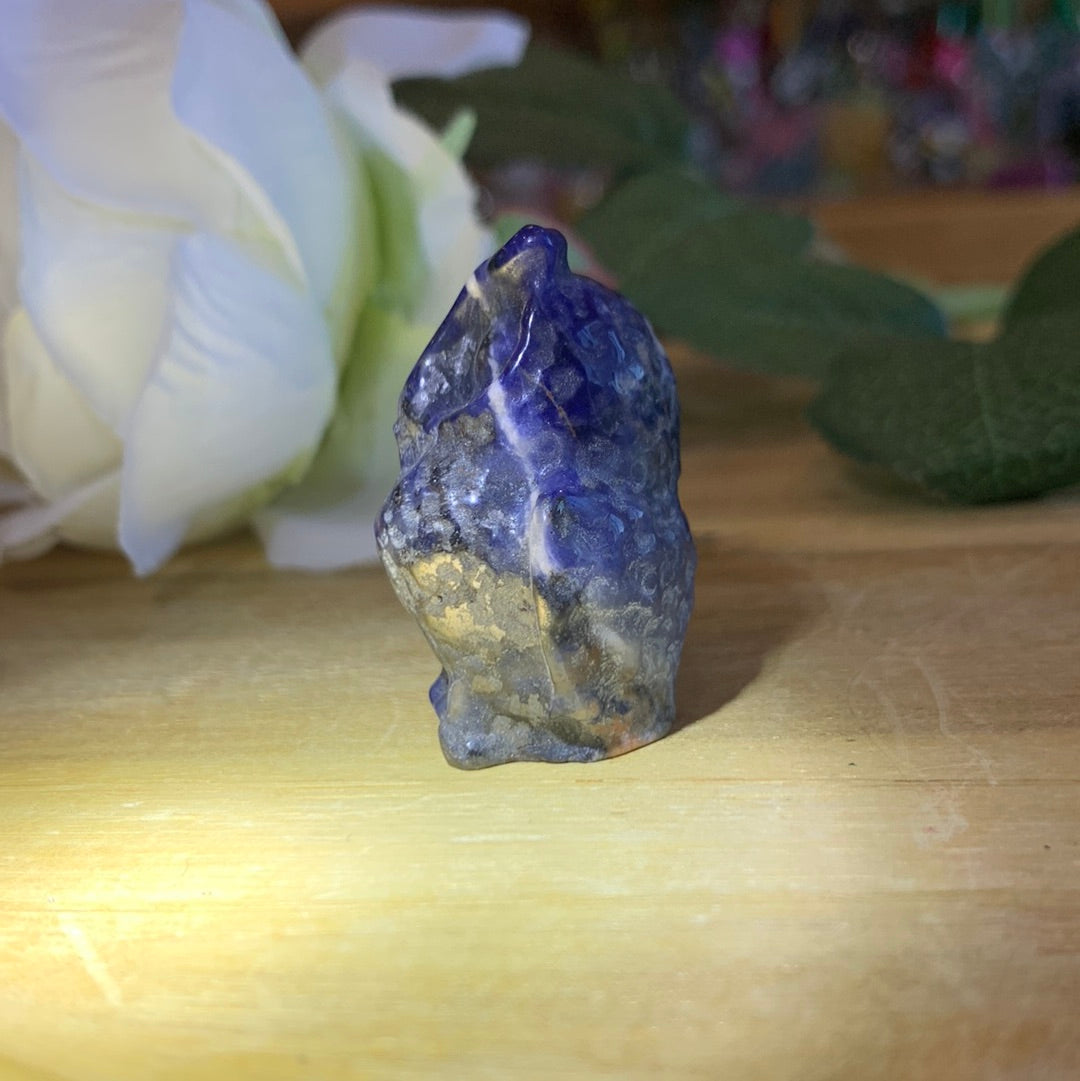 OWLS (SMALL)