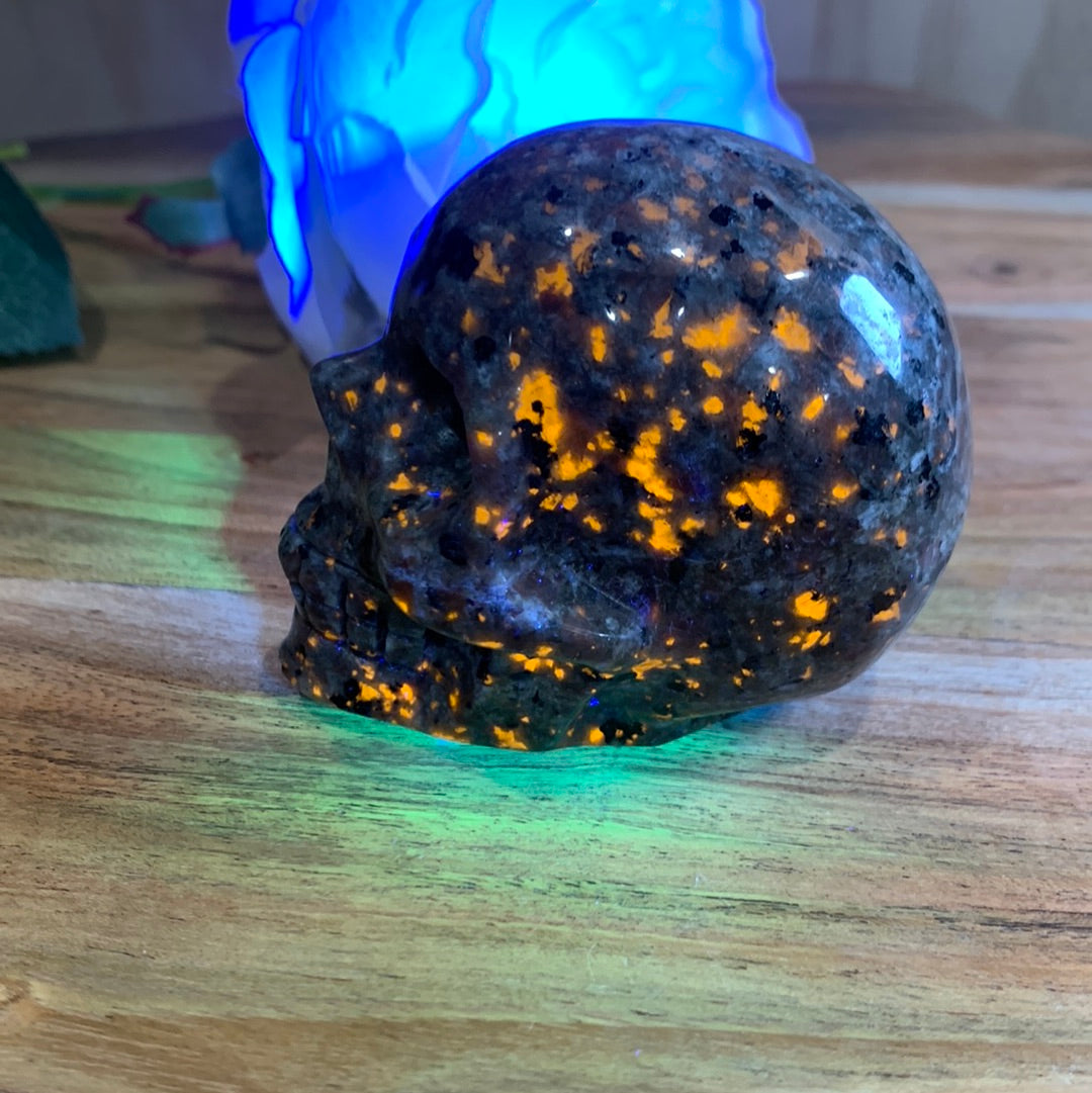 YOOPERLITE SKULL
