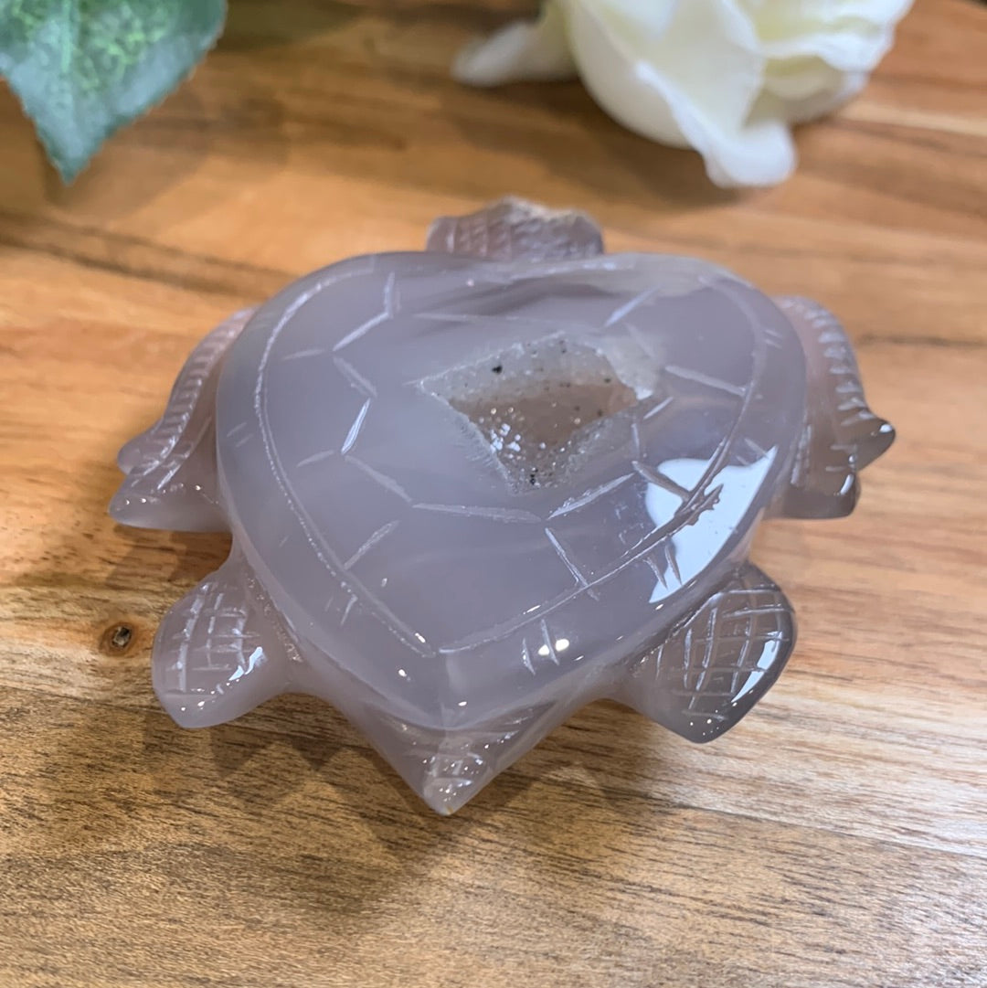 AGATE DRUUZY TURTLE