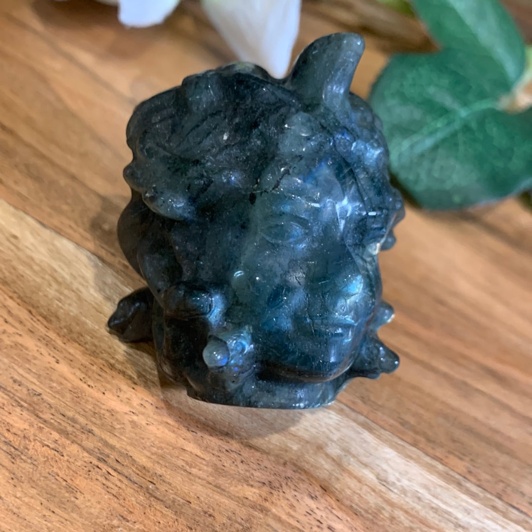 LABRADORITE MEDUSA HEAD