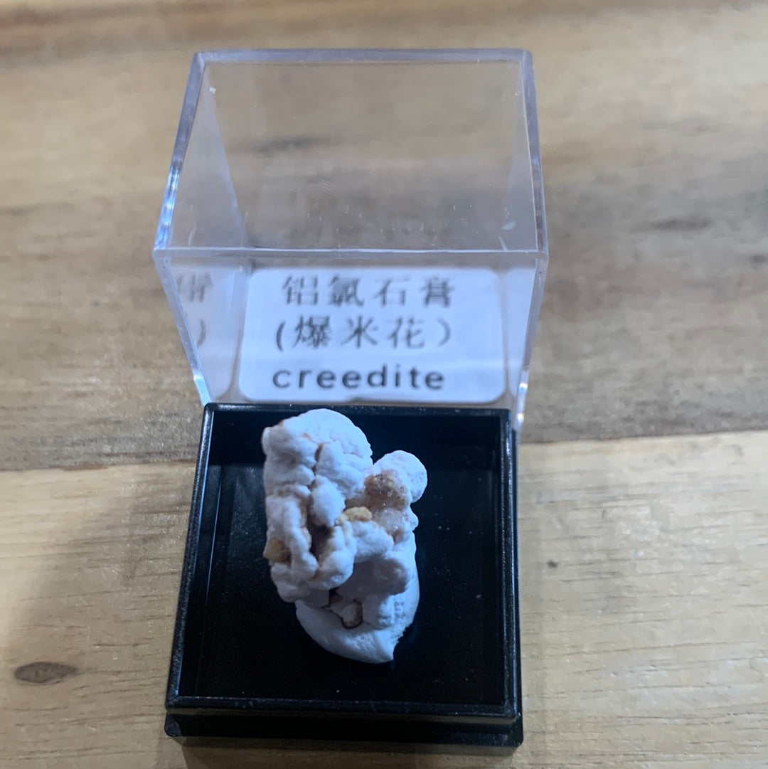 DISPLAY BOX SPECIMENS (SMALL)