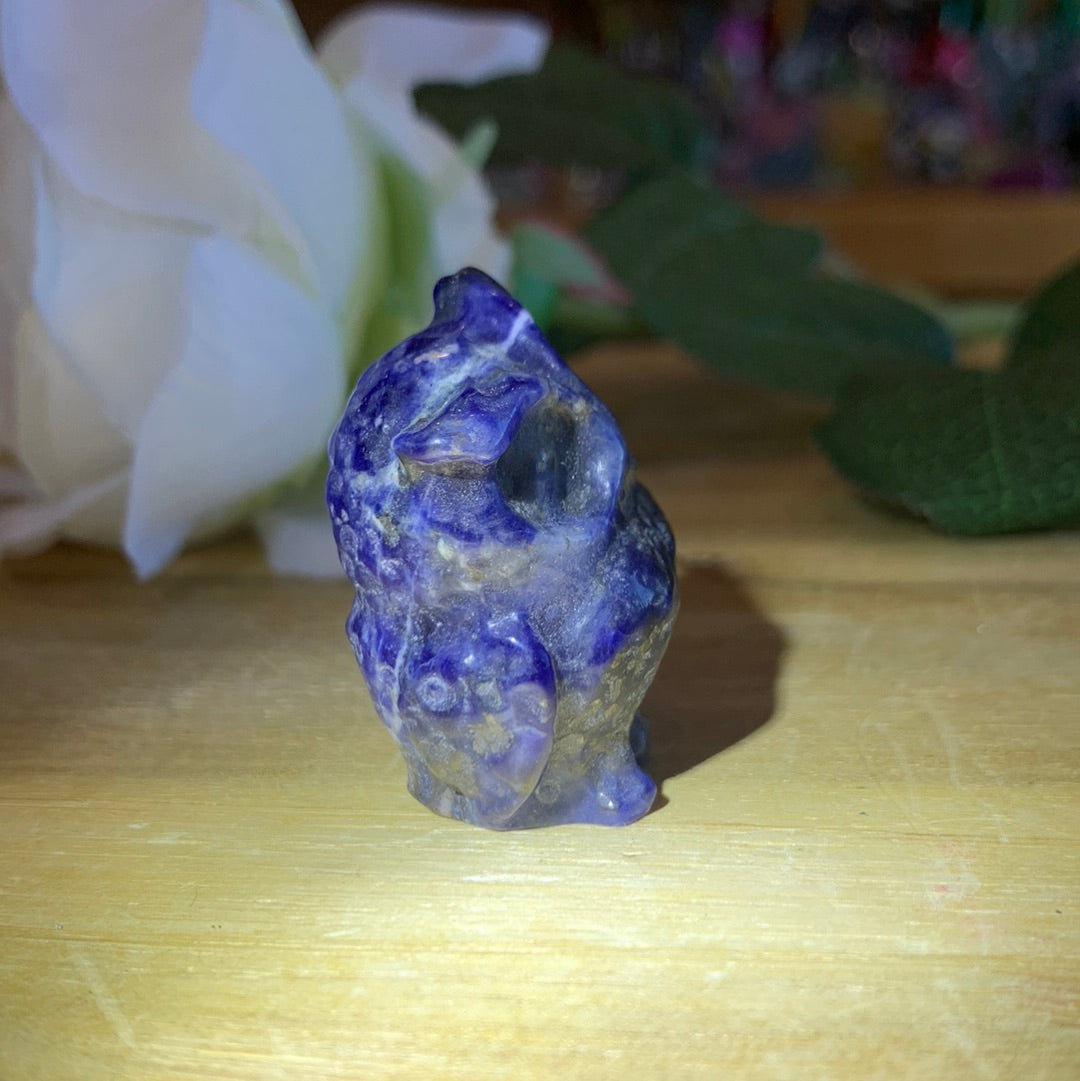 OWLS (SMALL)