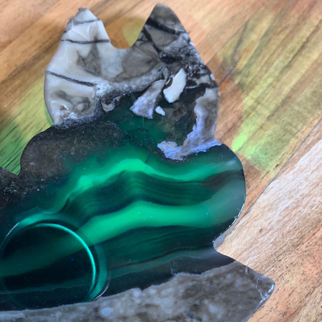 VOLCANO AGATE CATS (LARGE)
