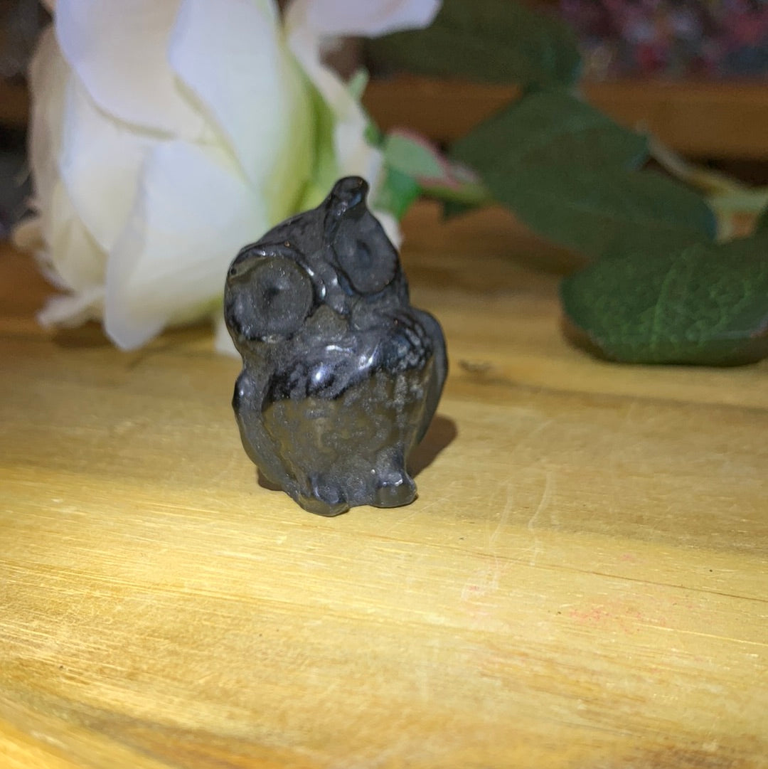 OWLS (SMALL)