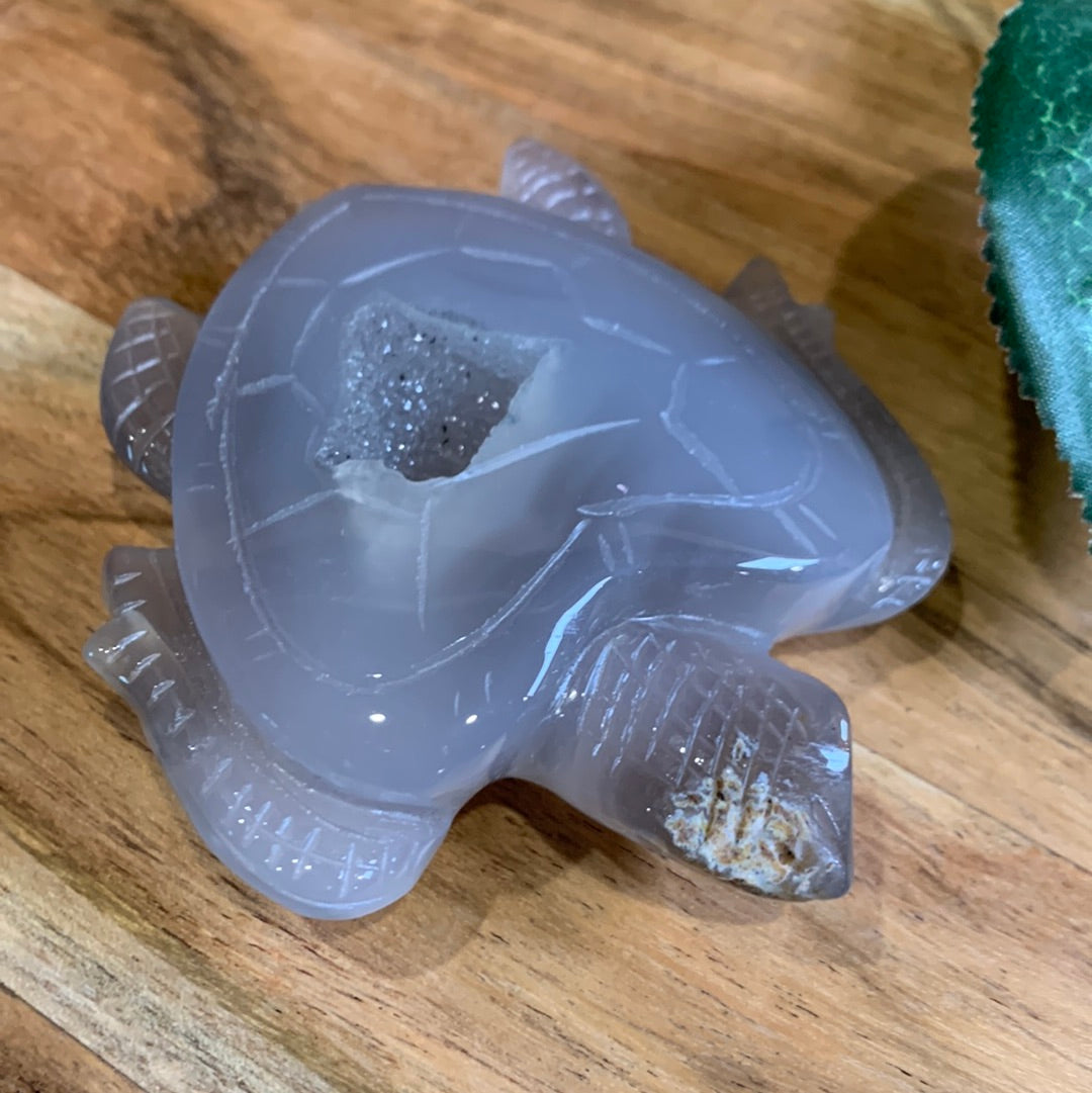 AGATE DRUUZY TURTLE