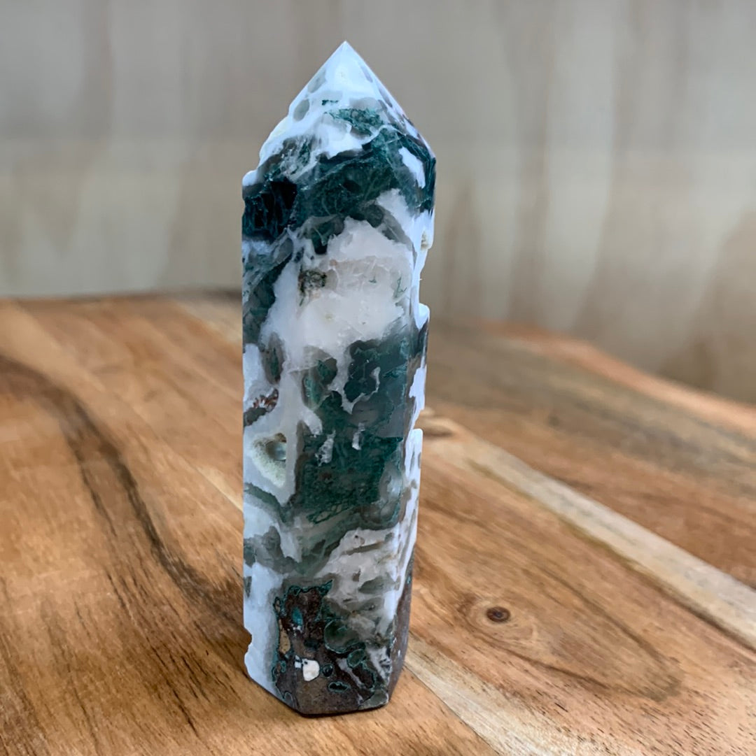 AGATE MOSS POINTS