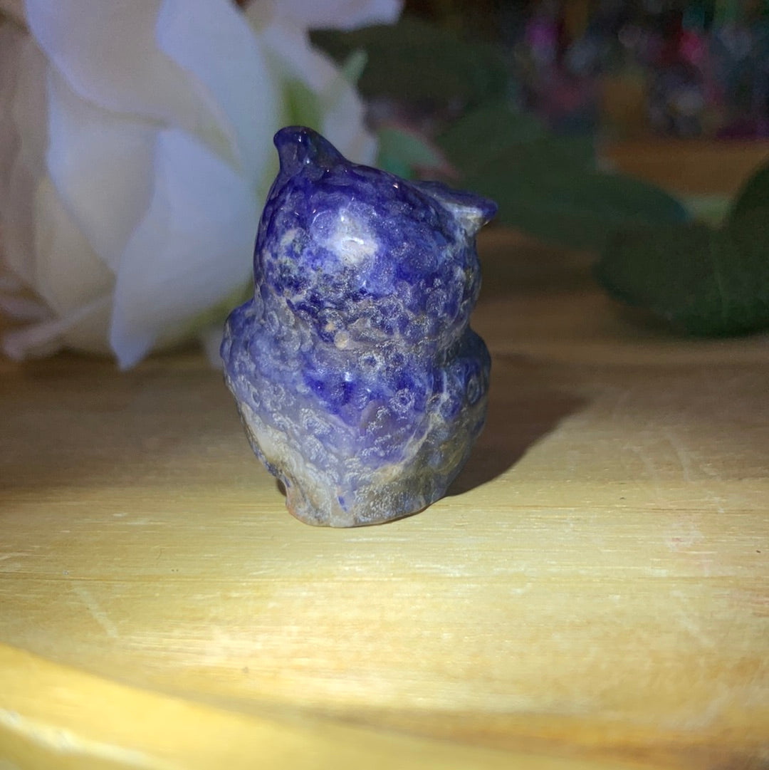 OWLS (SMALL)