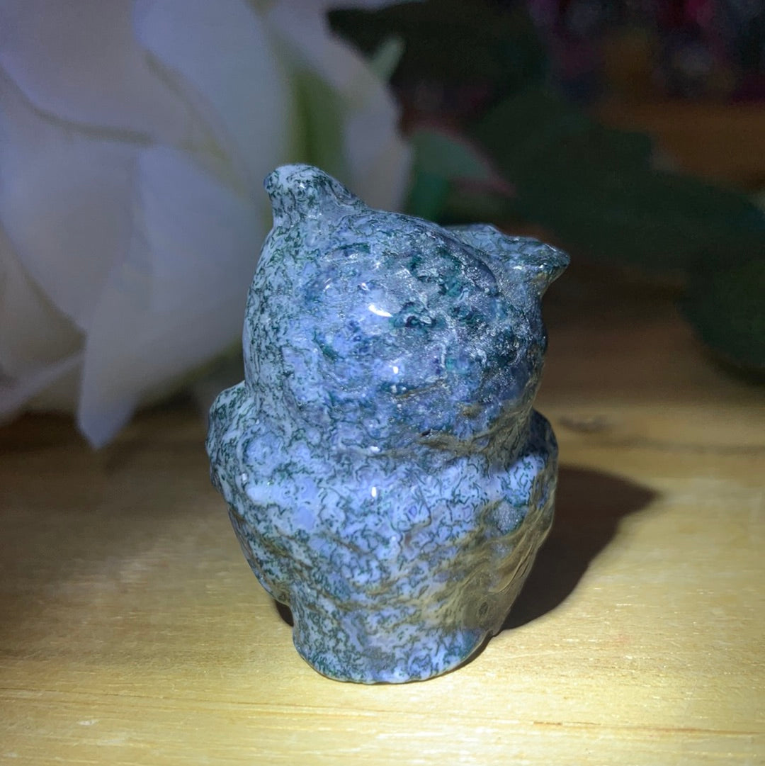 OWLS (SMALL)