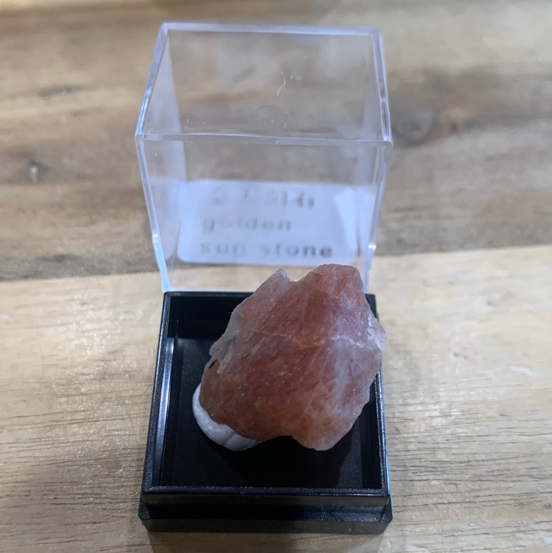 DISPLAY BOX SPECIMENS (SMALL)