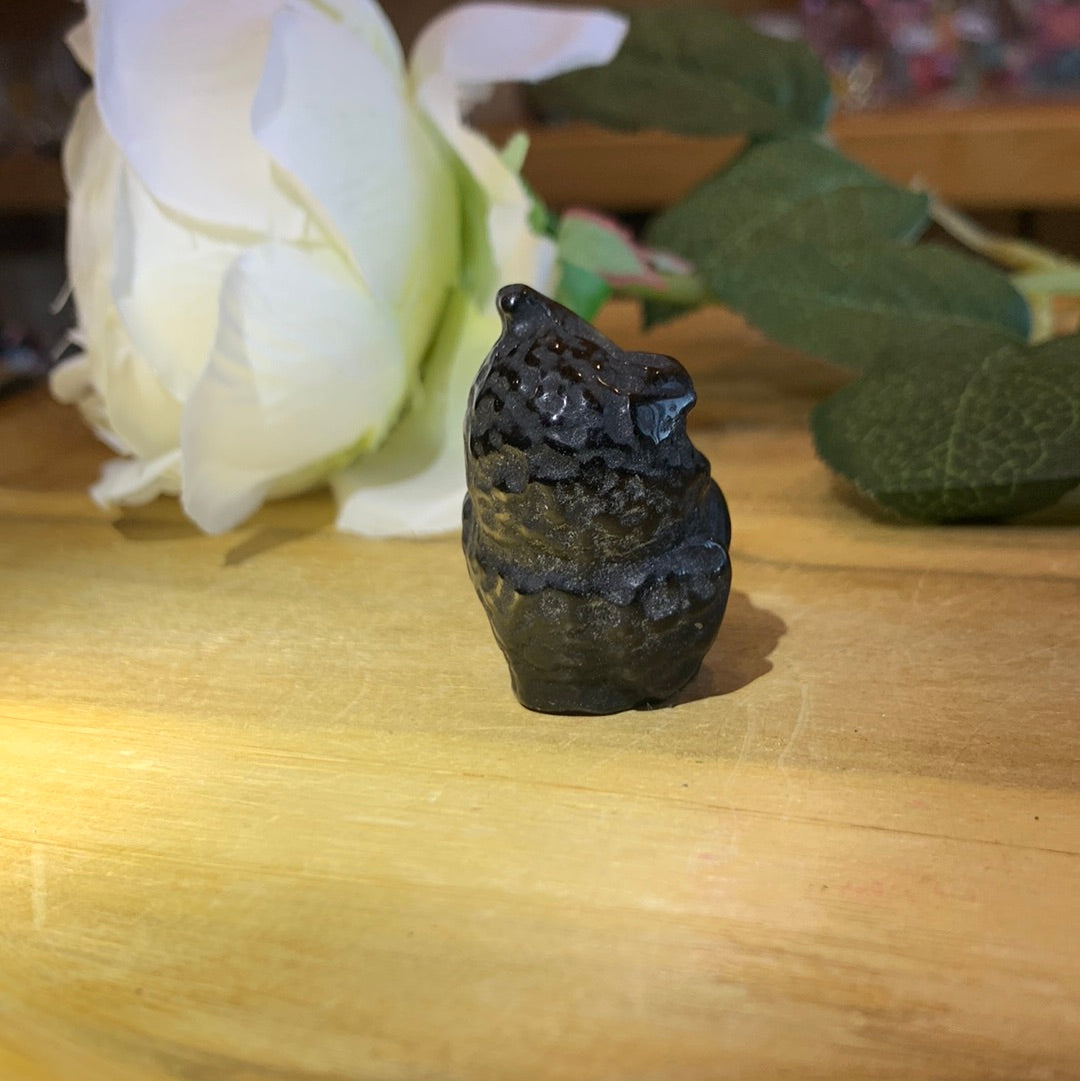 OWLS (SMALL)