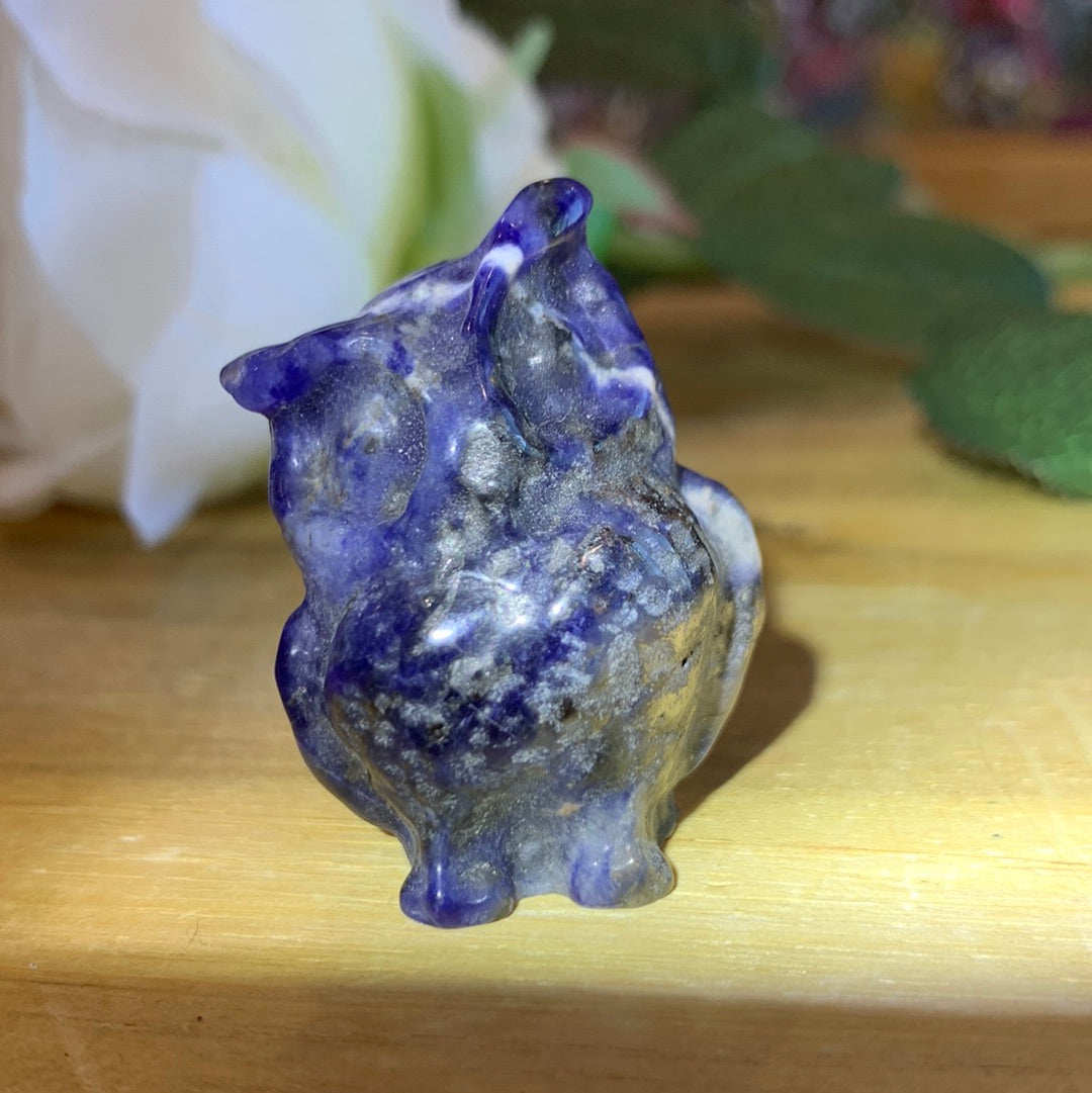 OWLS (SMALL)